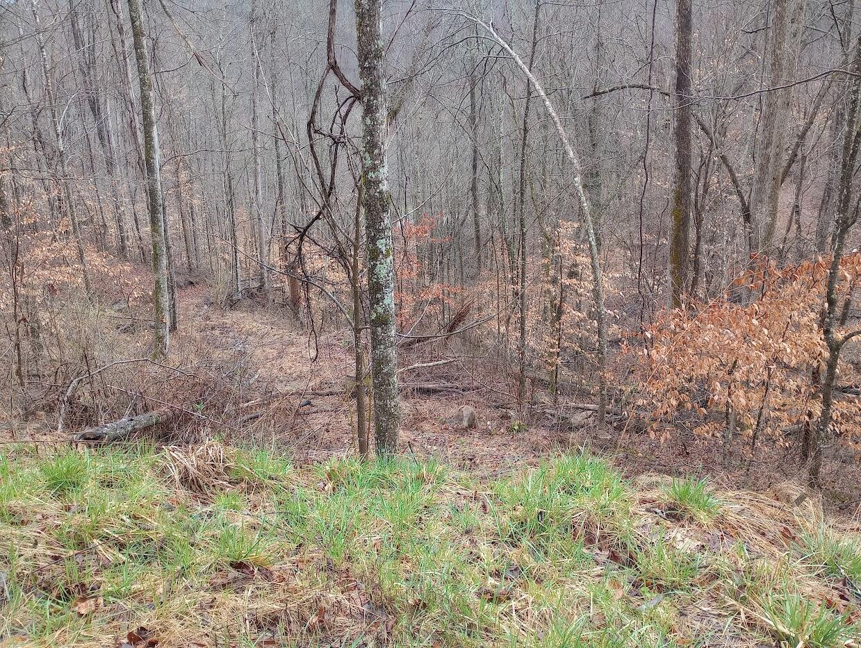 0 S Fork Road Property Photo 7
