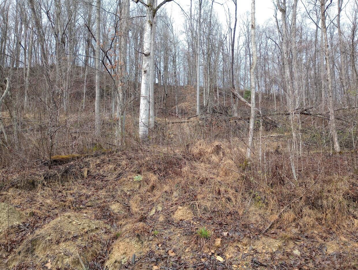 0 S Fork Road Property Photo 8