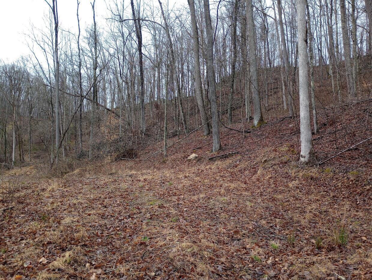 0 S Fork Road Property Photo 9