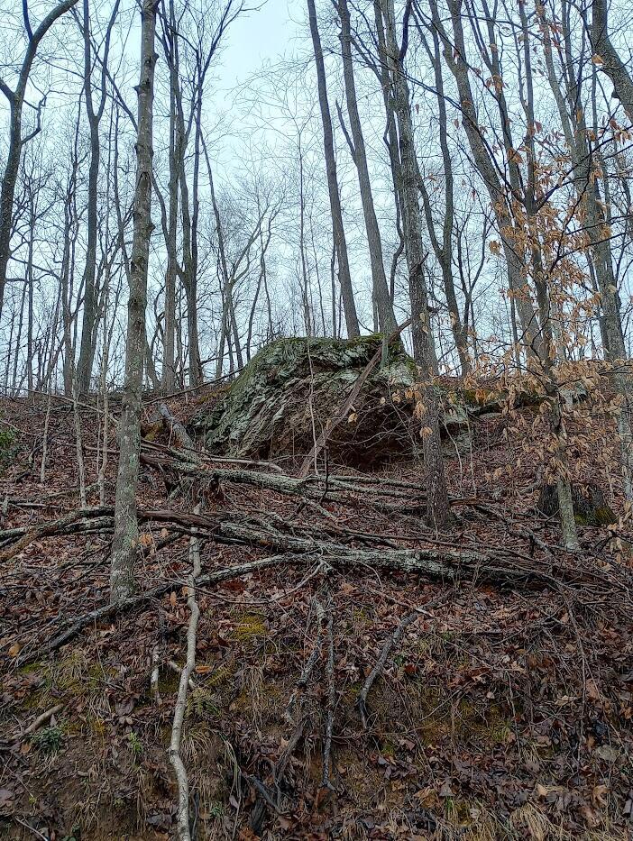 0 S Fork Road Property Photo 10