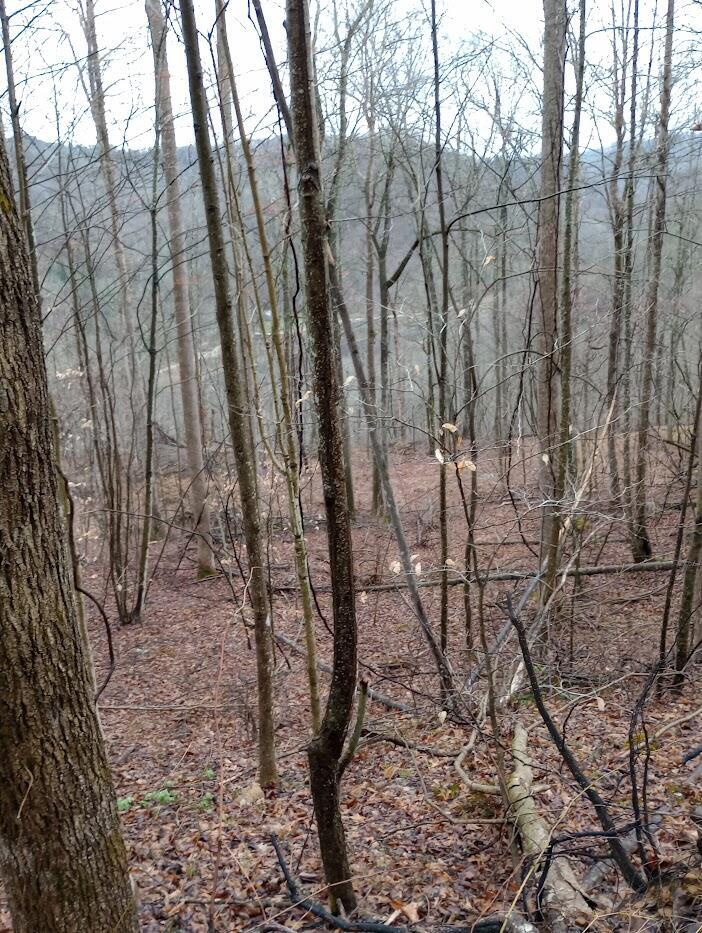 0 S Fork Road Property Photo 11