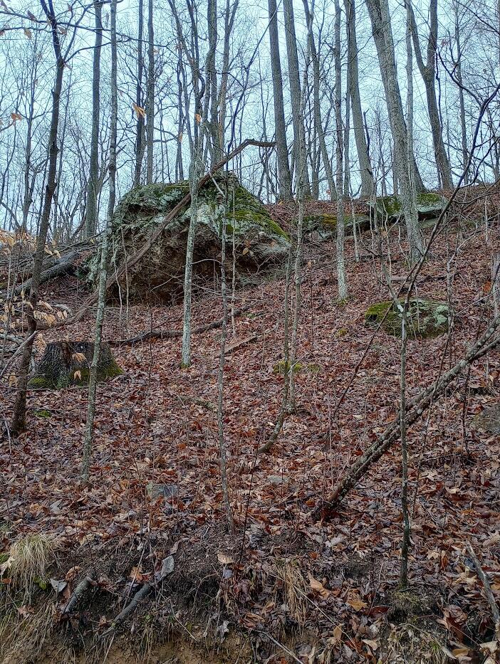 0 S Fork Road Property Photo 12