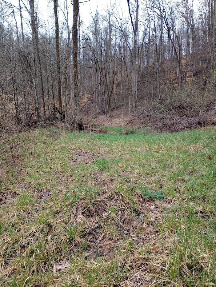 0 S Fork Road Property Photo 13