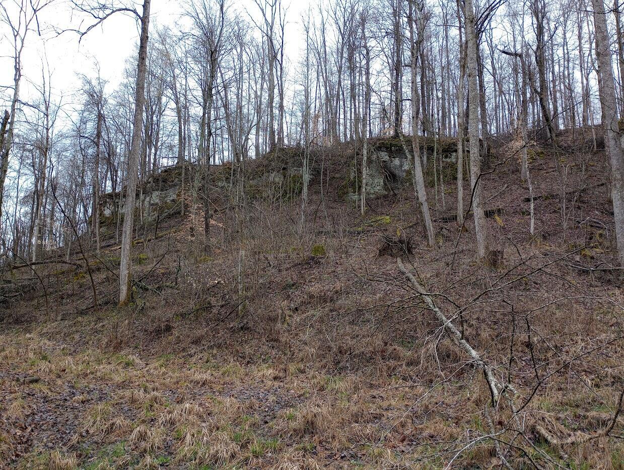0 S Fork Road Property Photo 15