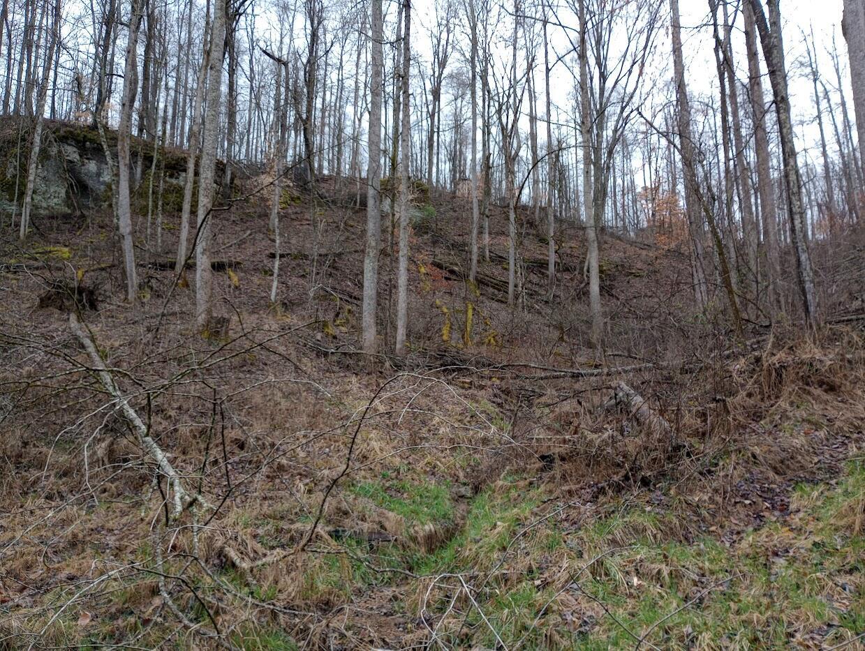 0 S Fork Road Property Photo 16