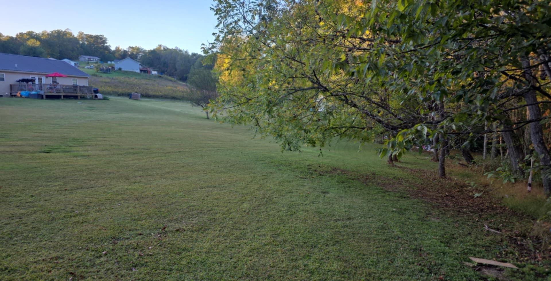 137 Maple Lick Subdivision Road Property Photo 25
