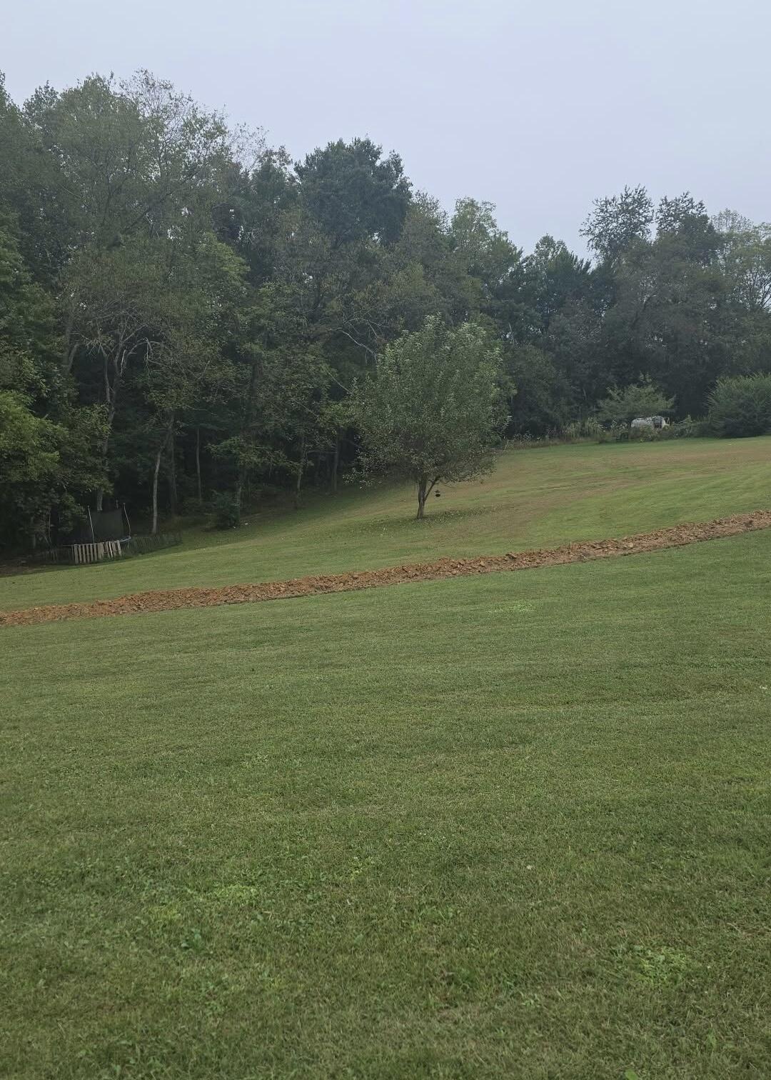 137 Maple Lick Subdivision Road Property Photo 28
