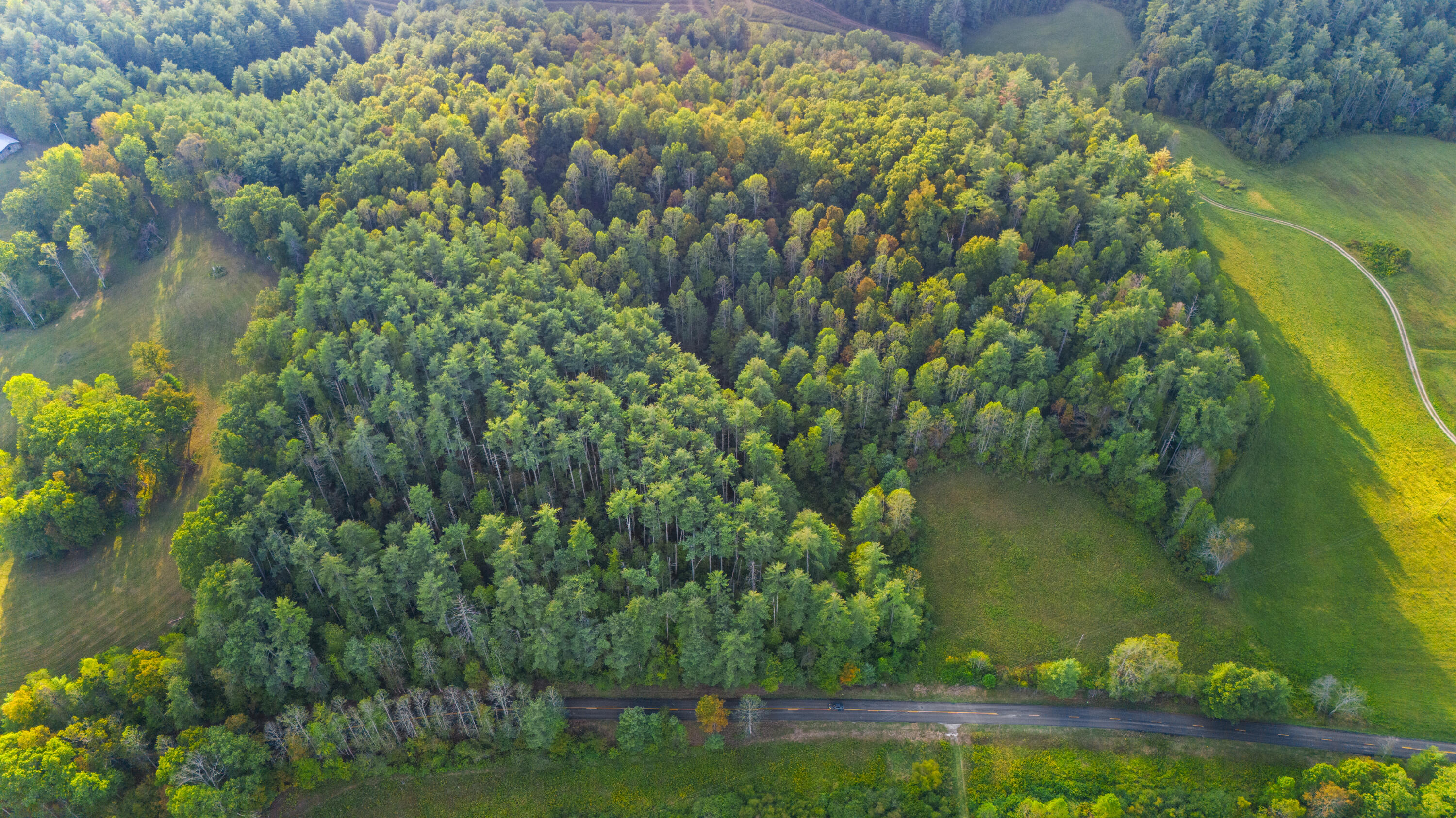 5531 Ky-746 Property Photo 3