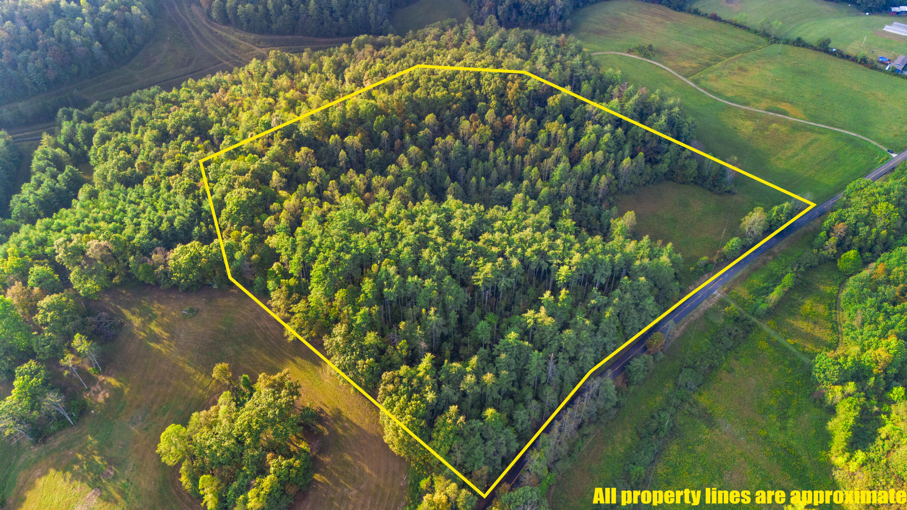 5531 Ky-746 Property Photo 6