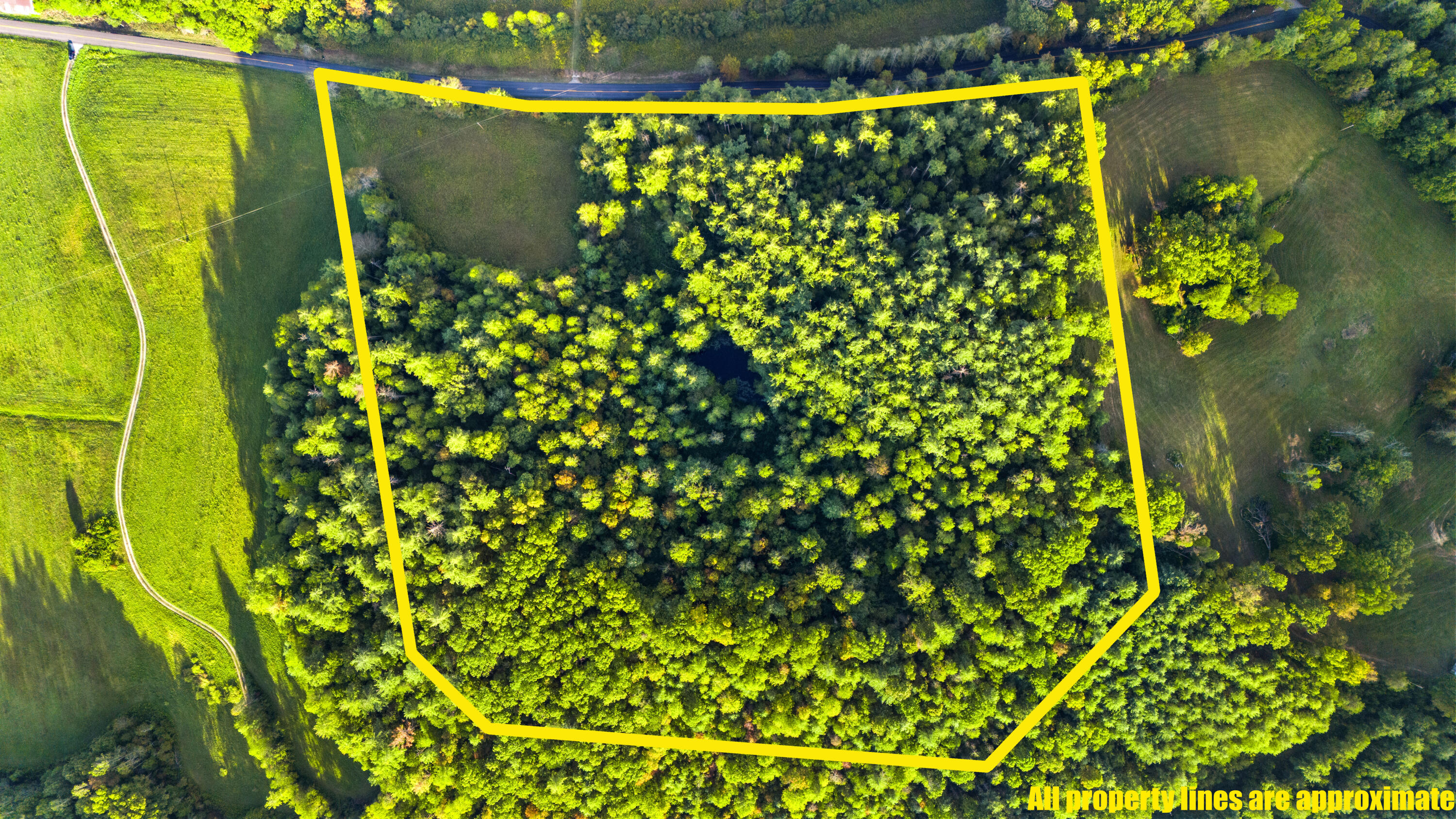 5531 Ky-746 Property Photo 15