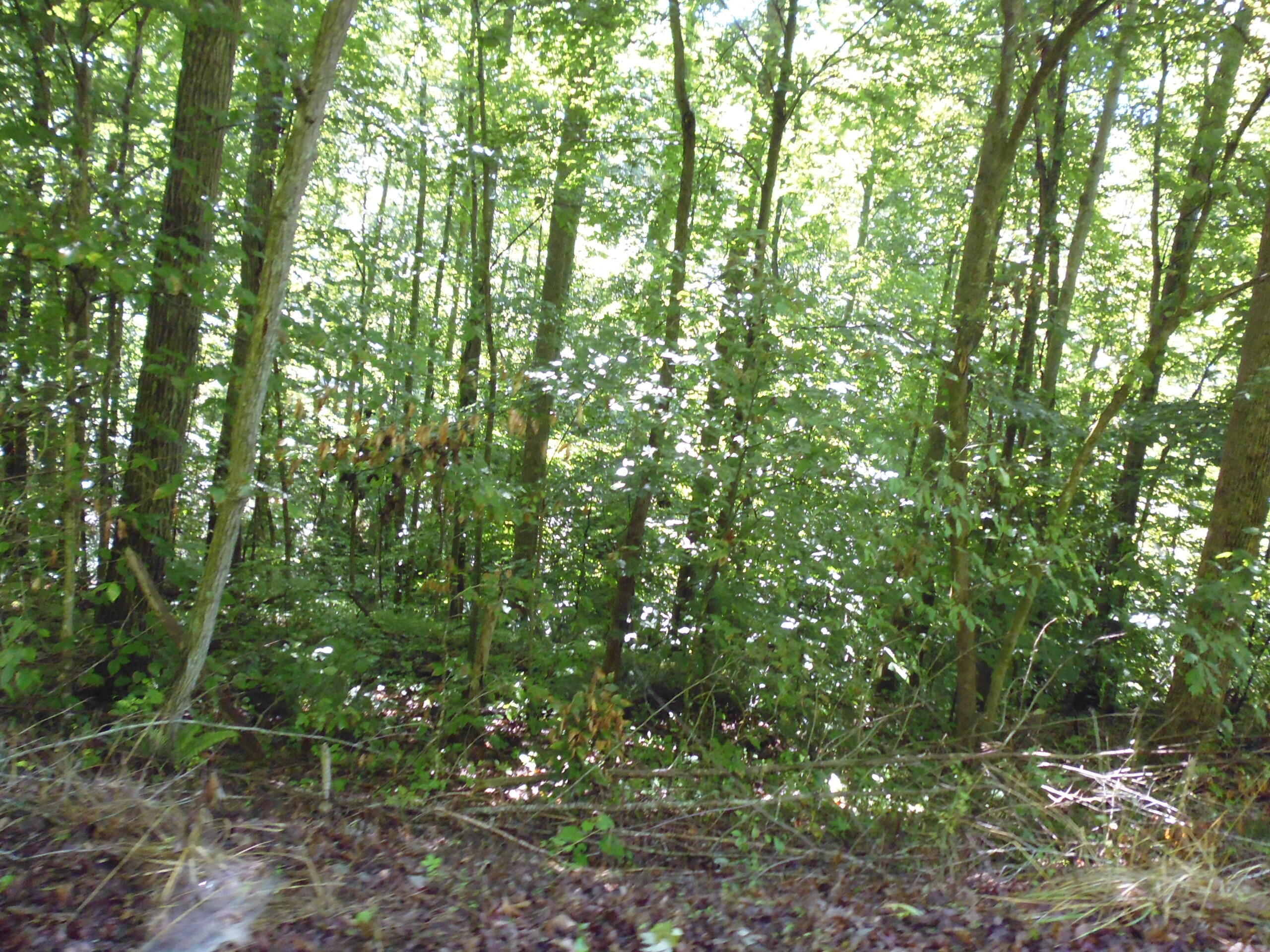 31 Property Photo 4