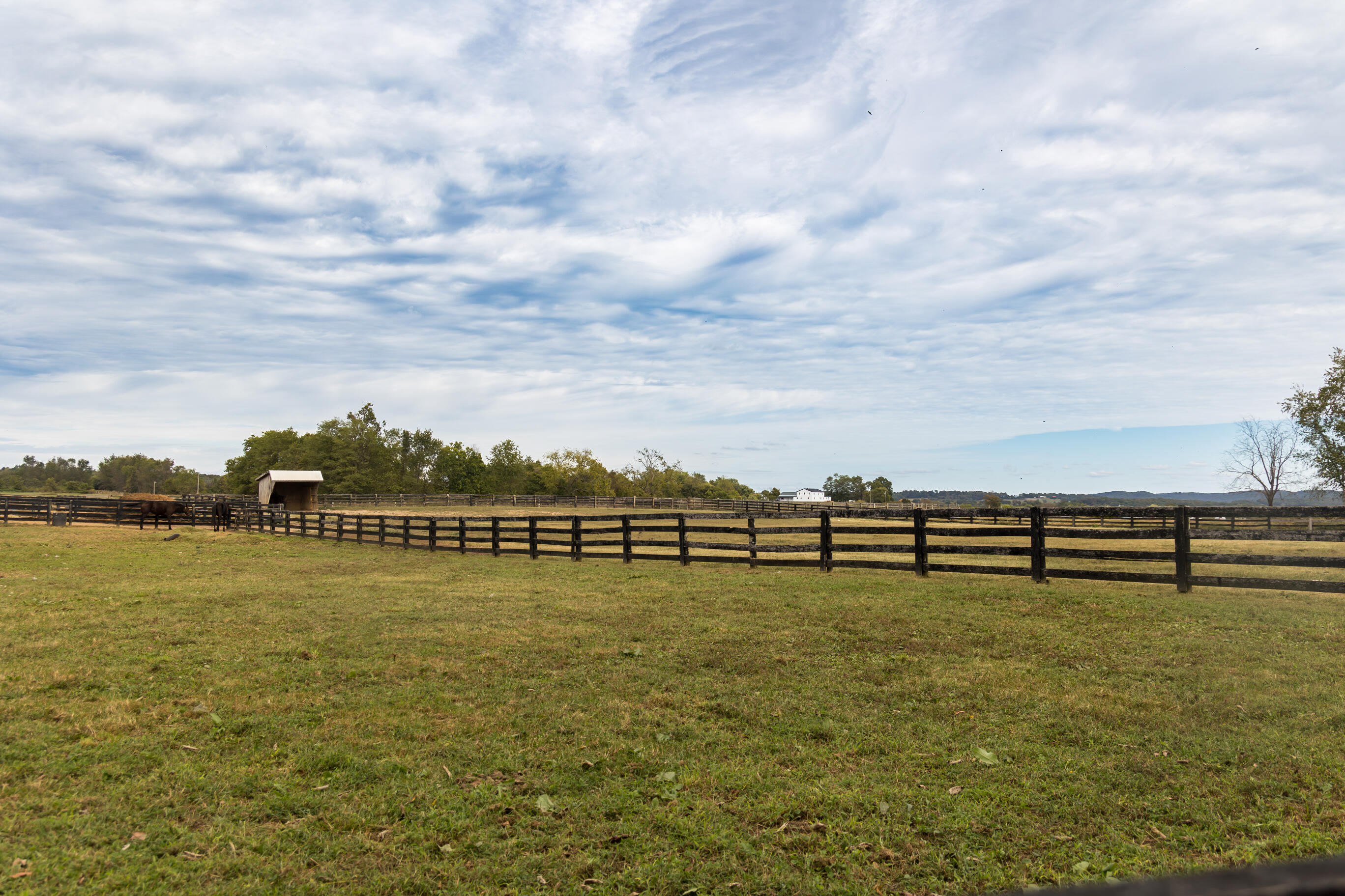 4962 Kendall Springs Road Property Photo 84