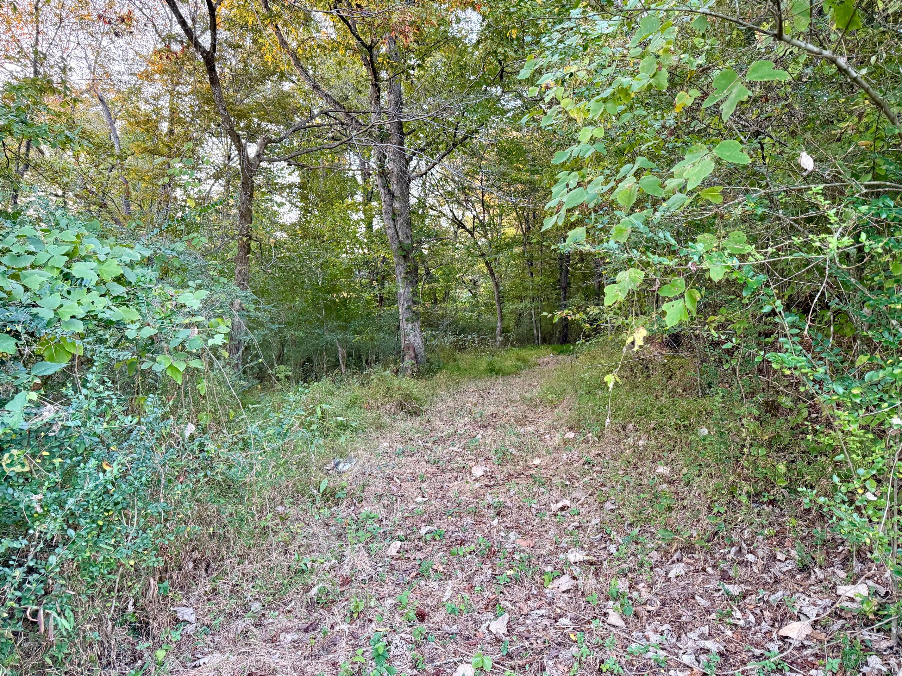 0 E Main Street Property Photo 2