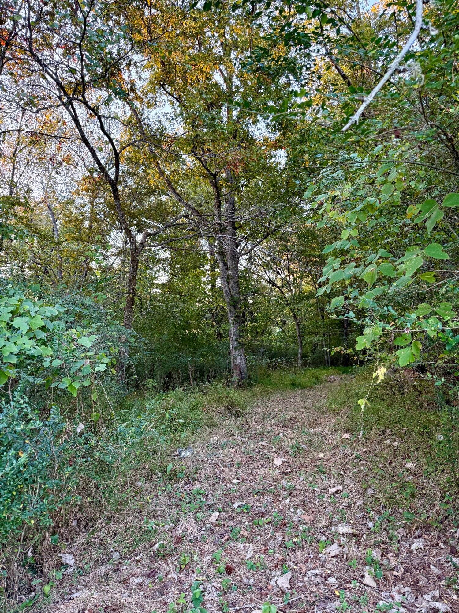 0 E Main Street Property Photo 3