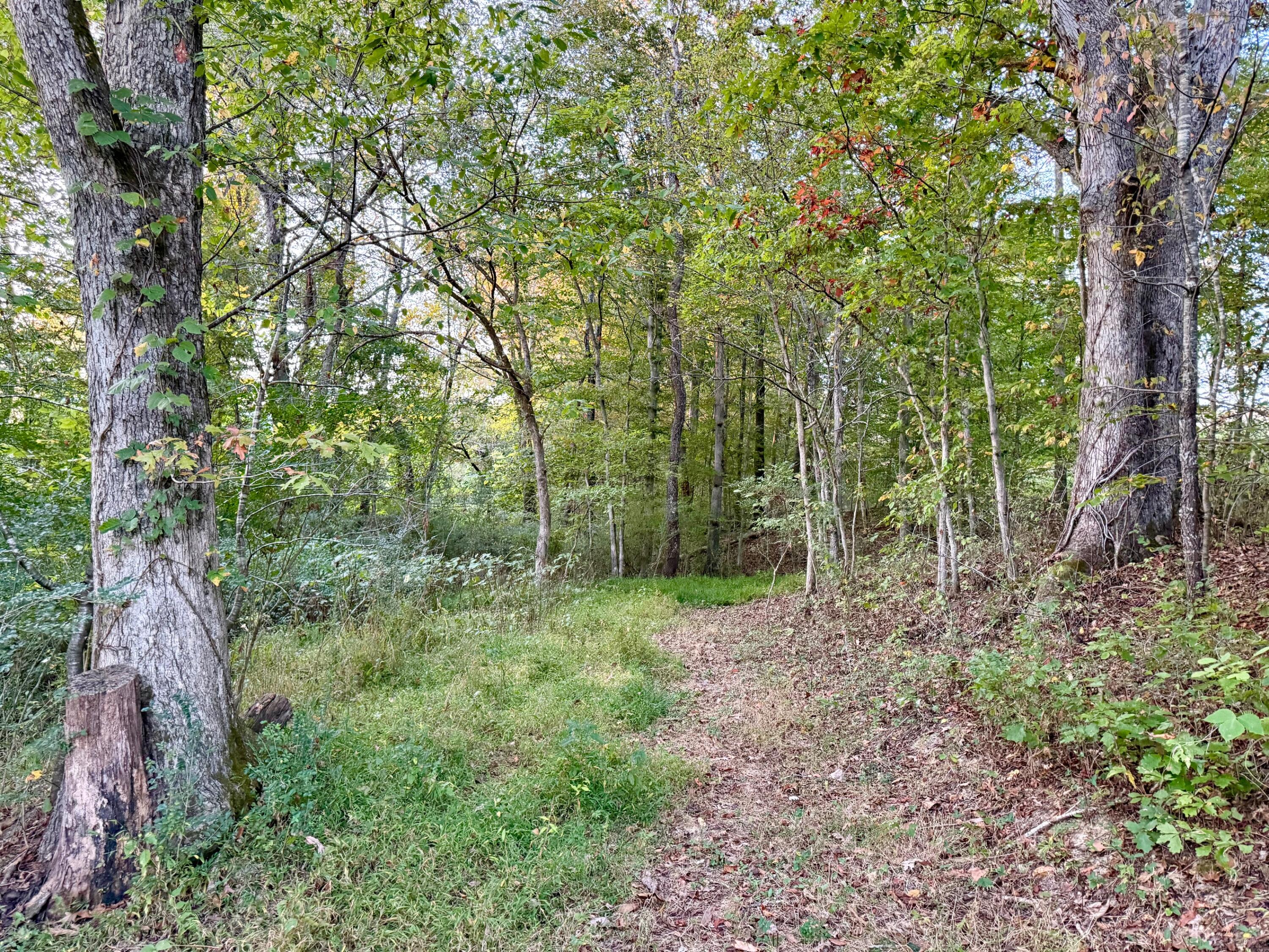 0 E Main Street Property Photo 5