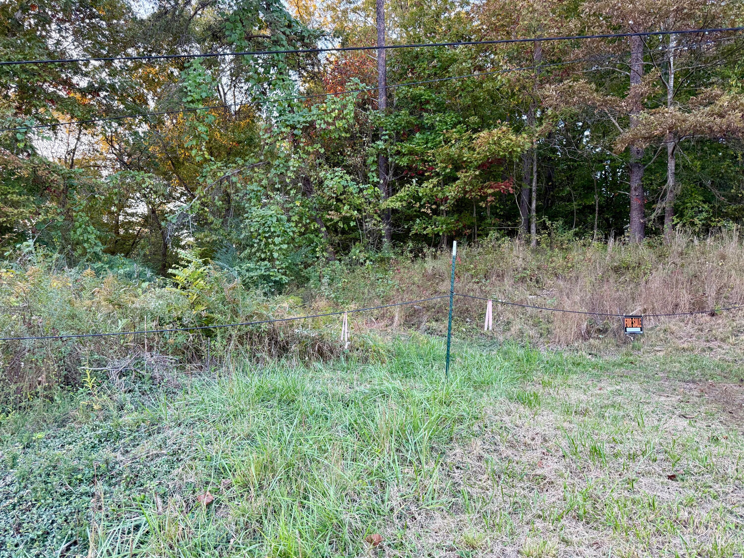 0 E Main Street Property Photo 10