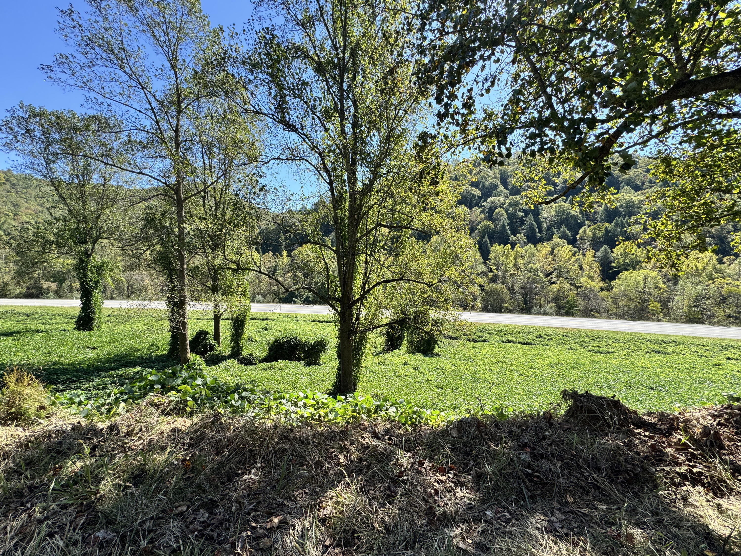 9900 Hector Road Property Photo 1