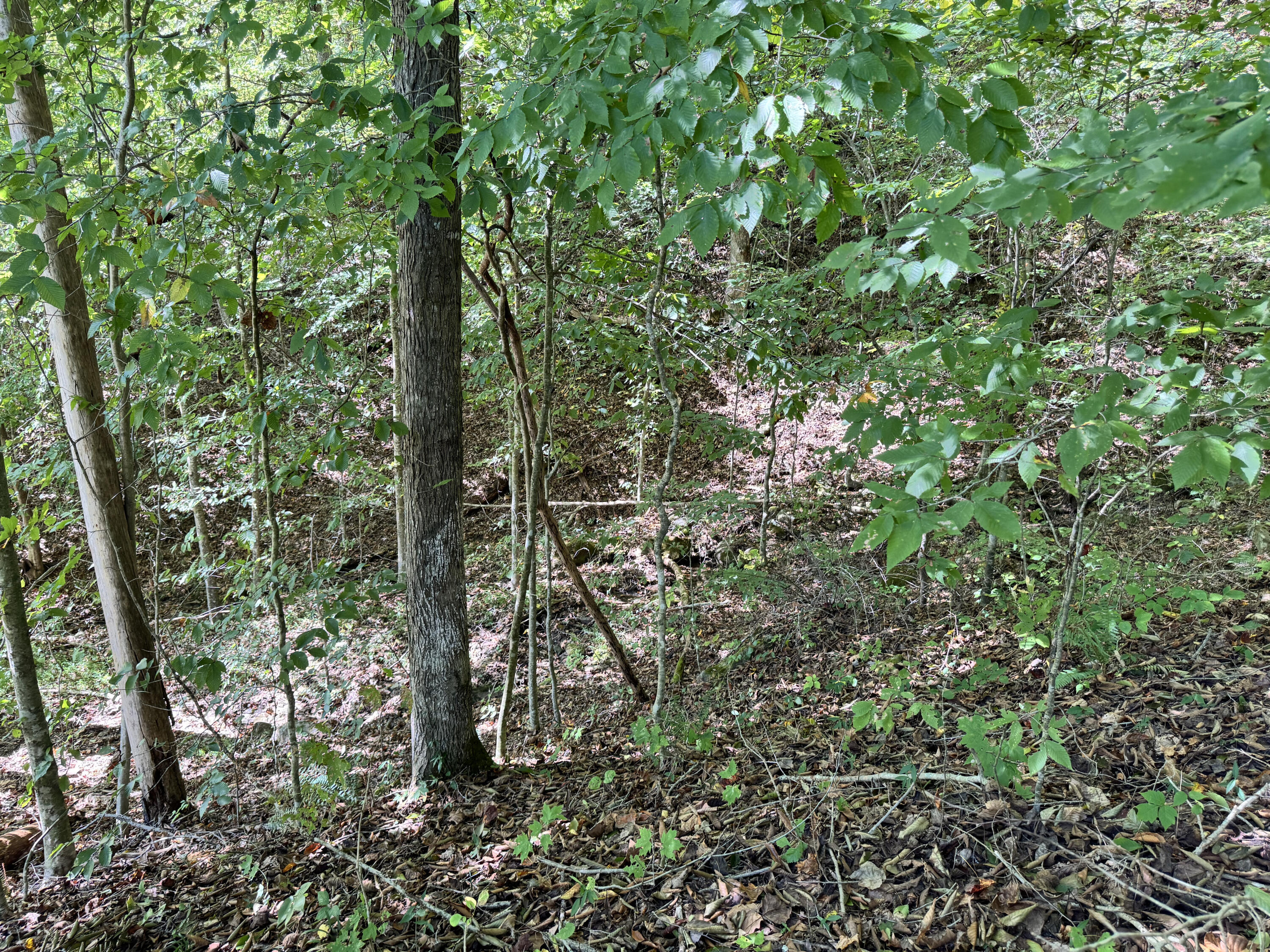 9900 Hector Road Property Photo 2