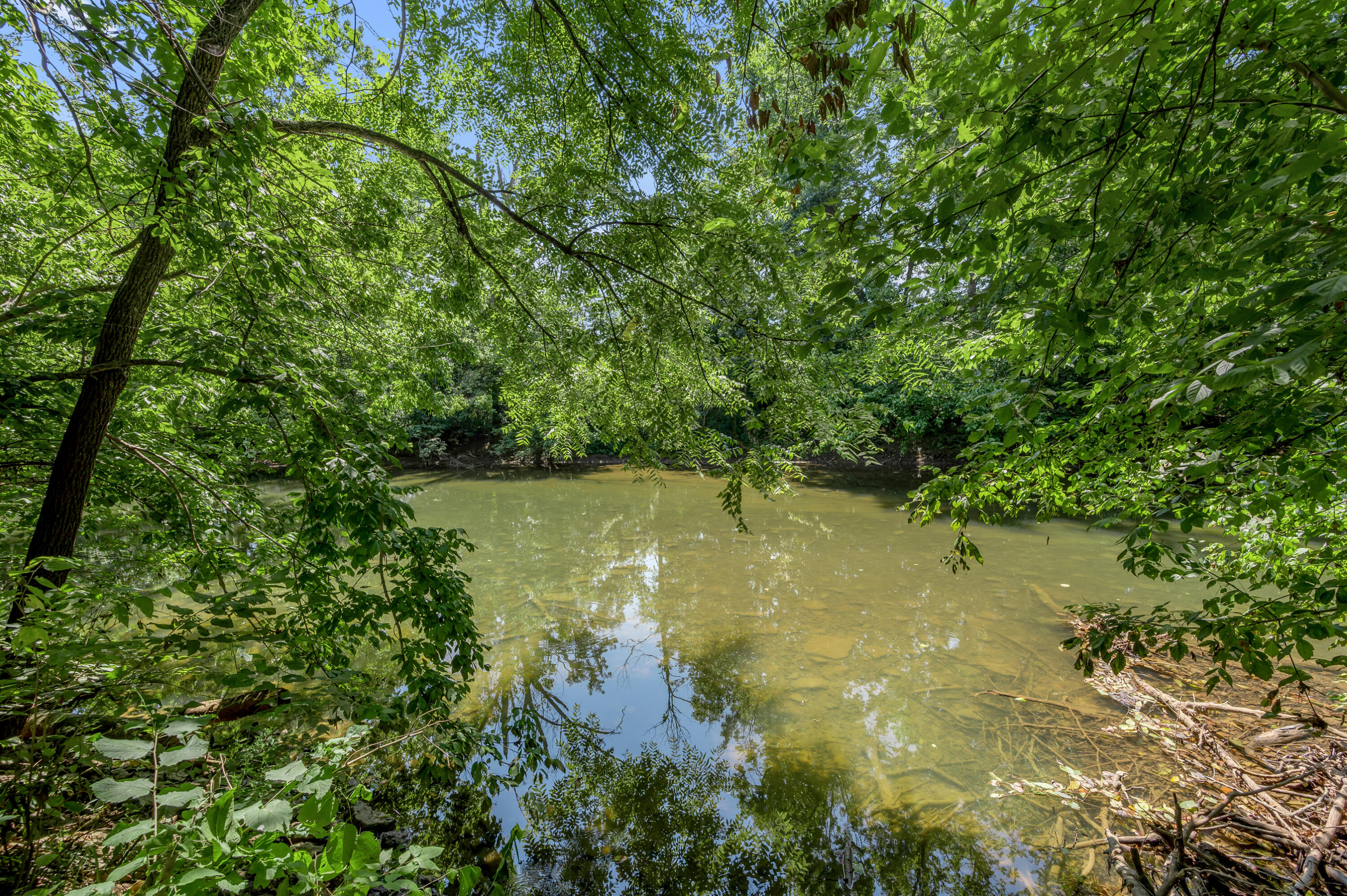120 Creekside Drive Property Photo 69