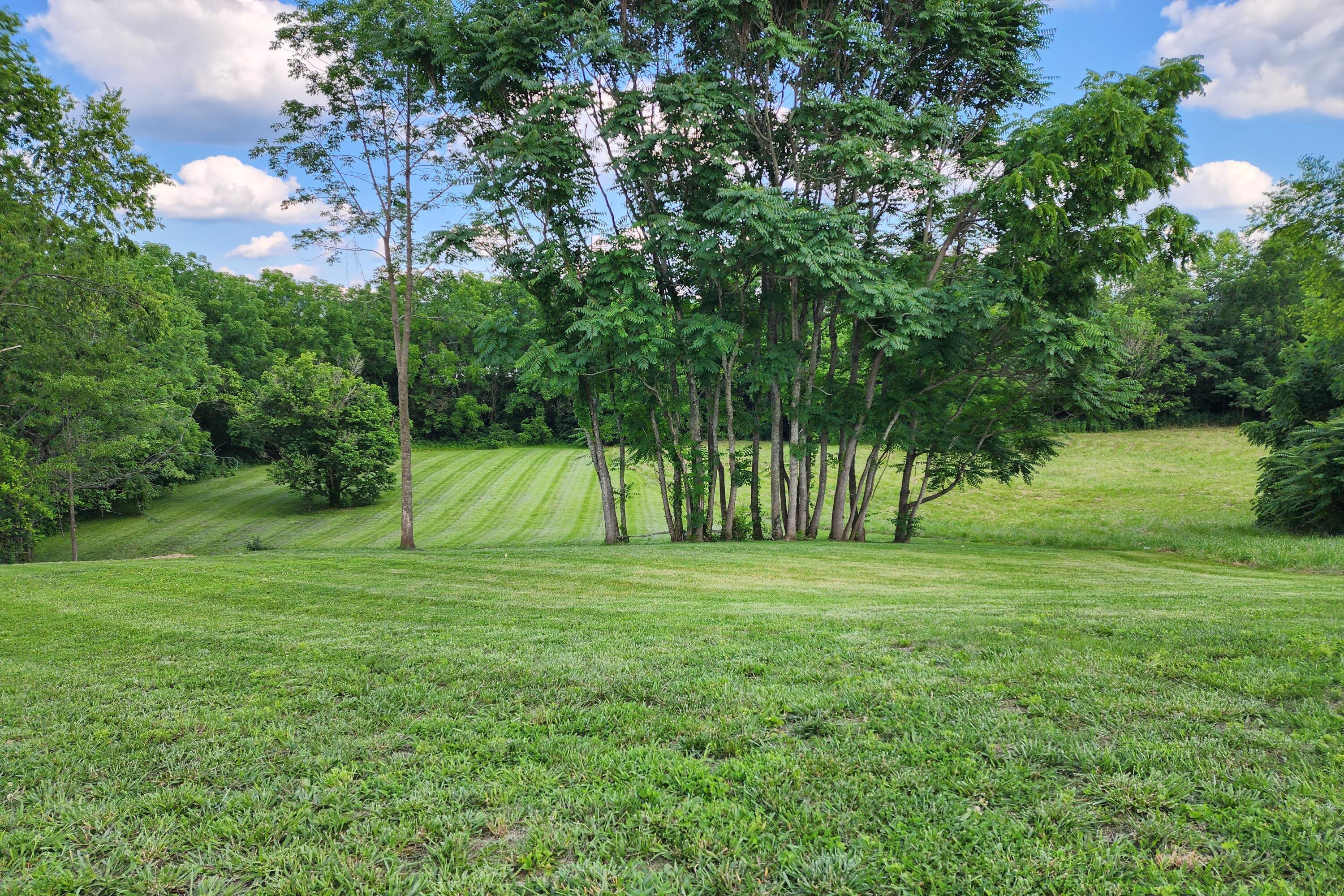 149 Lynne Drive Property Photo 2