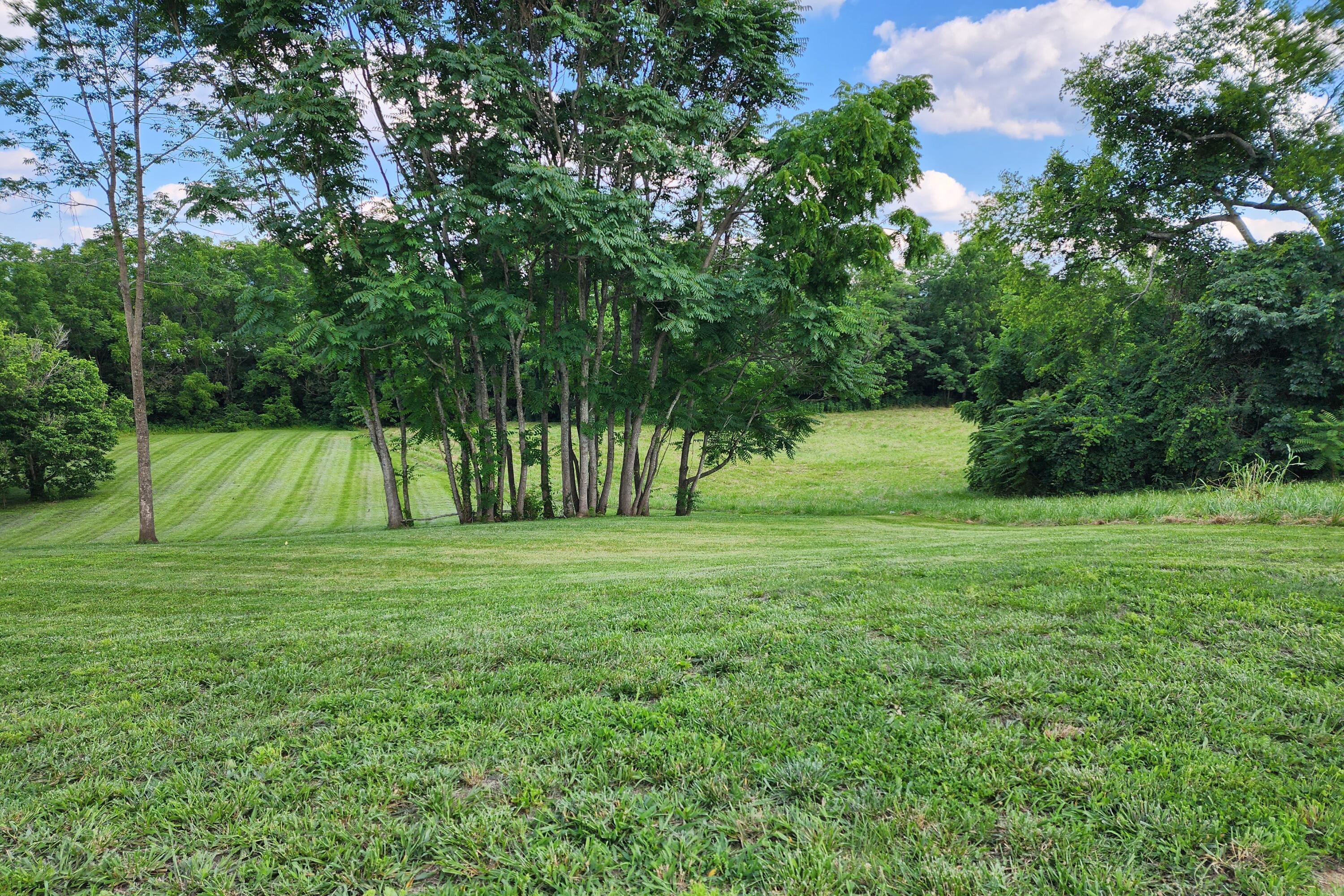 149 Lynne Drive Property Photo 3