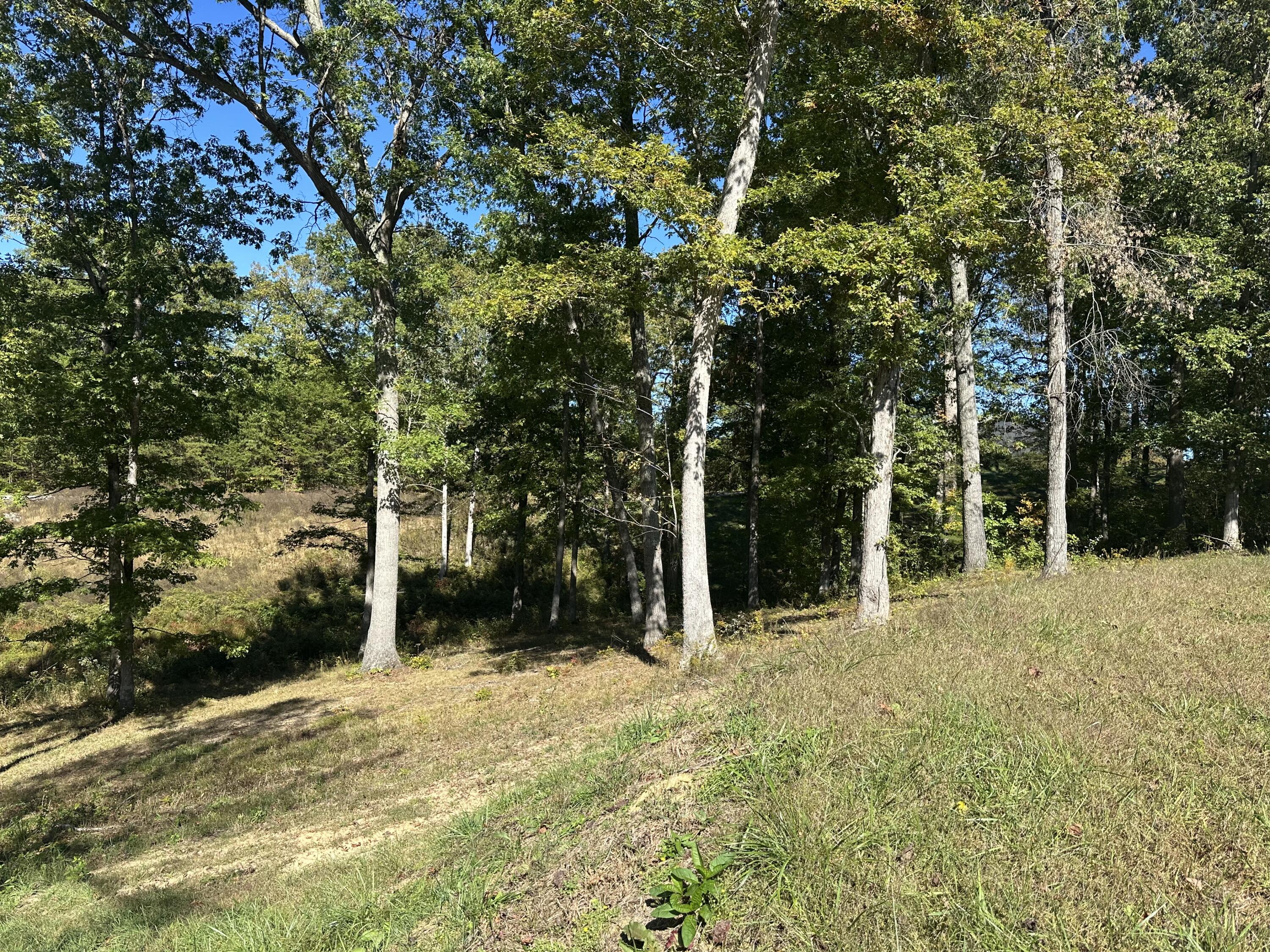 24 Cliff Line Drive Property Photo 4