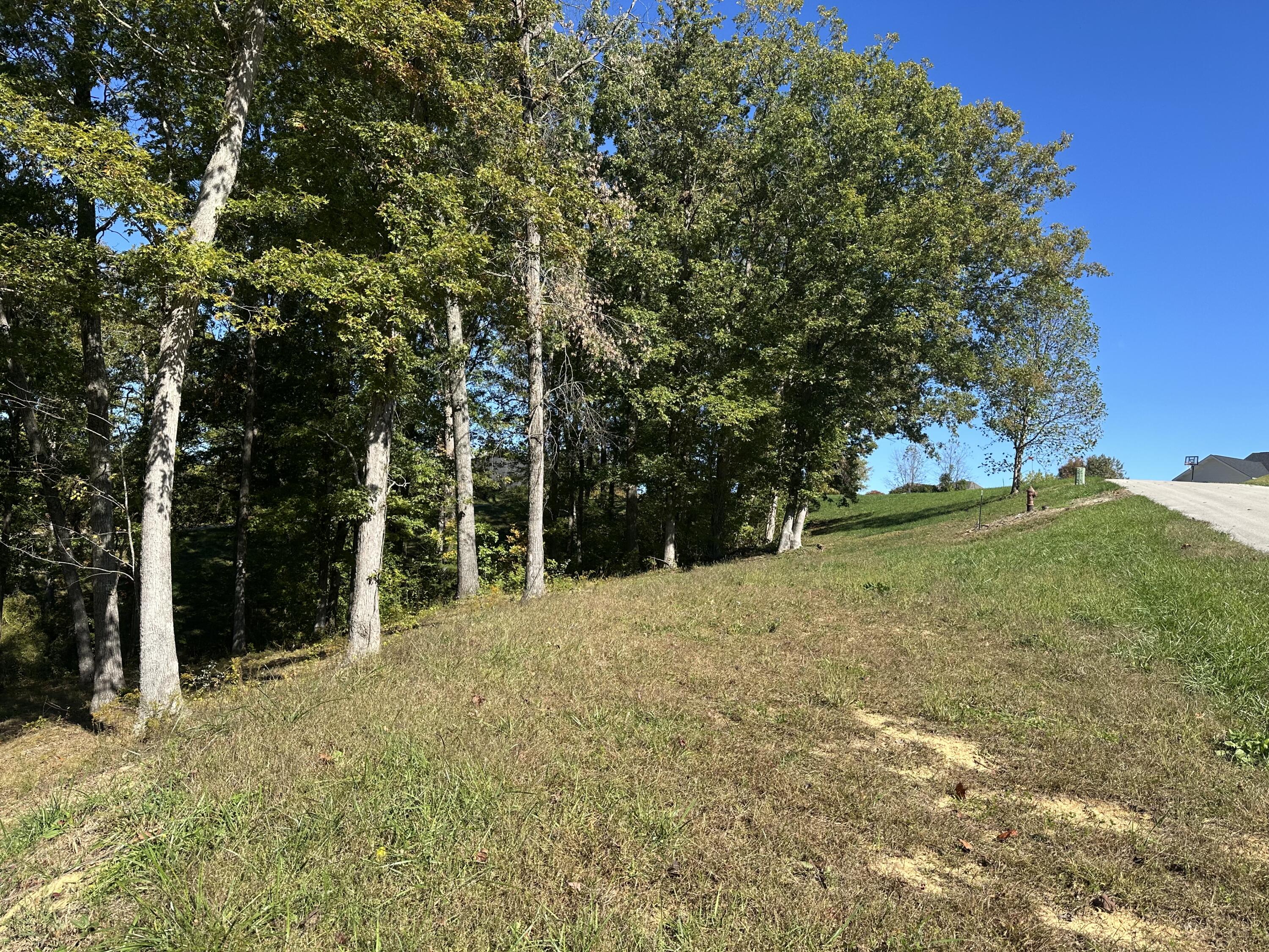 24 Cliff Line Drive Property Photo 5