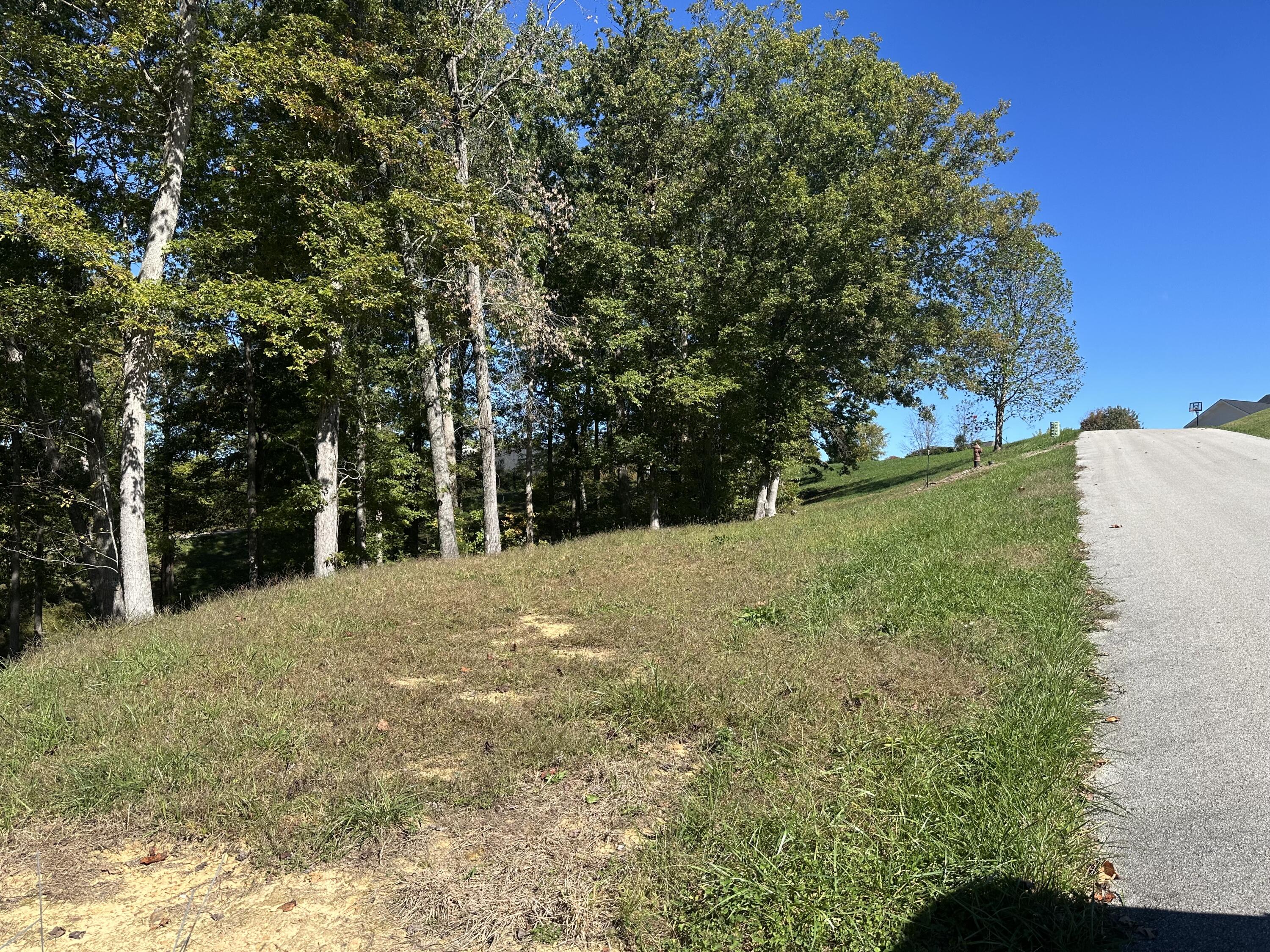 24 Cliff Line Drive Property Photo 6