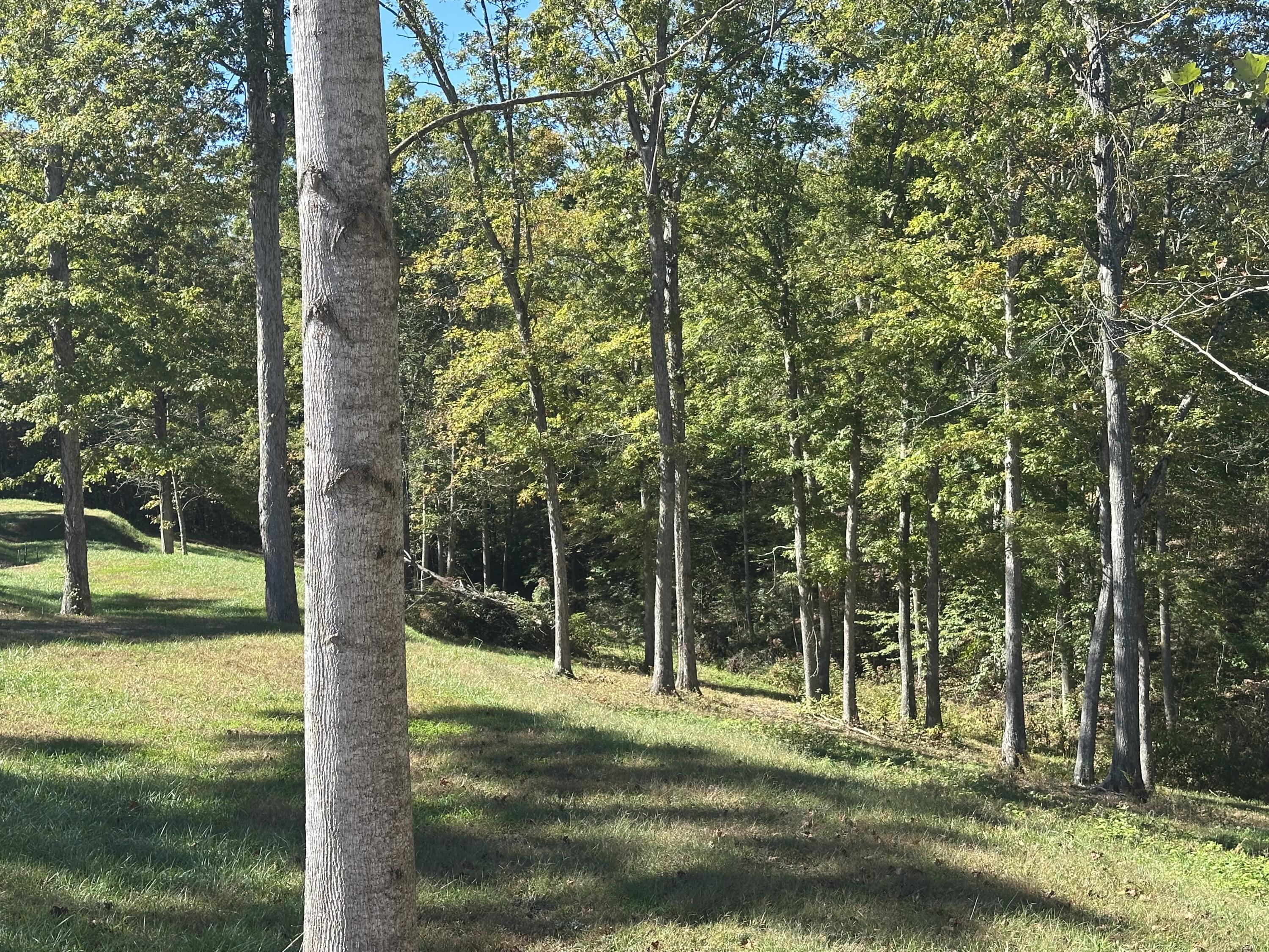 24 Cliff Line Drive Property Photo 8