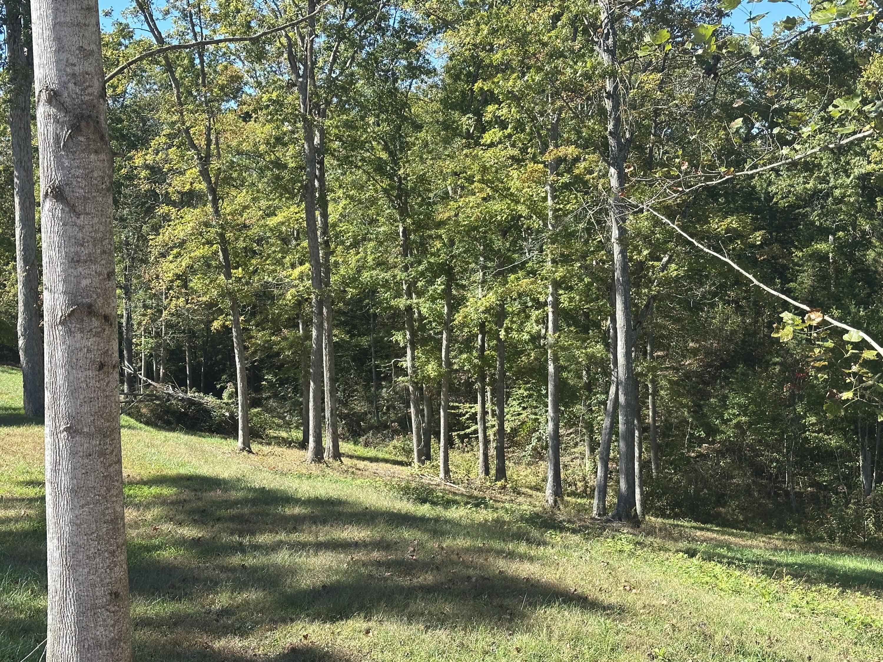 24 Cliff Line Drive Property Photo 9