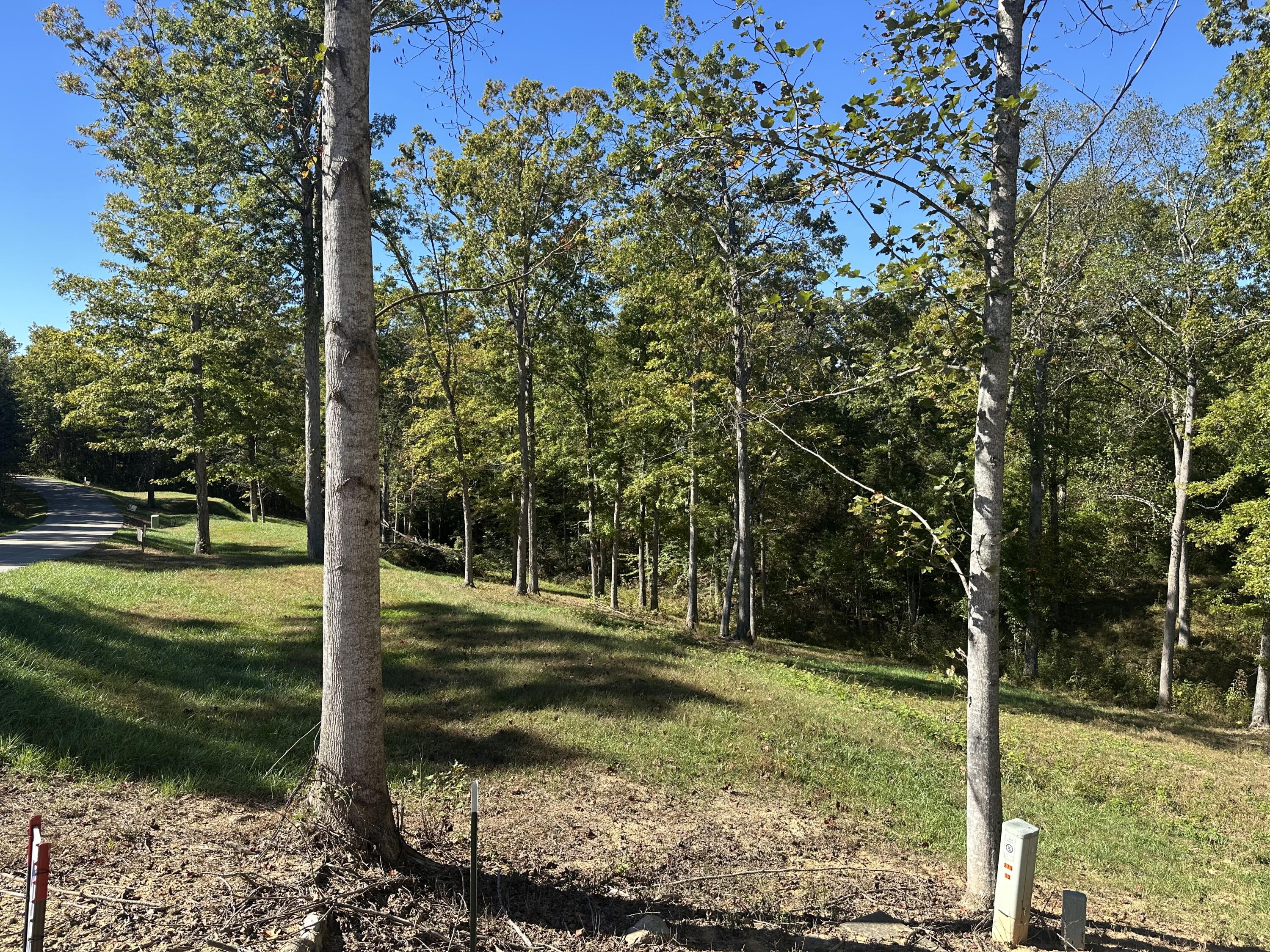 24 Cliff Line Drive Property Photo 10