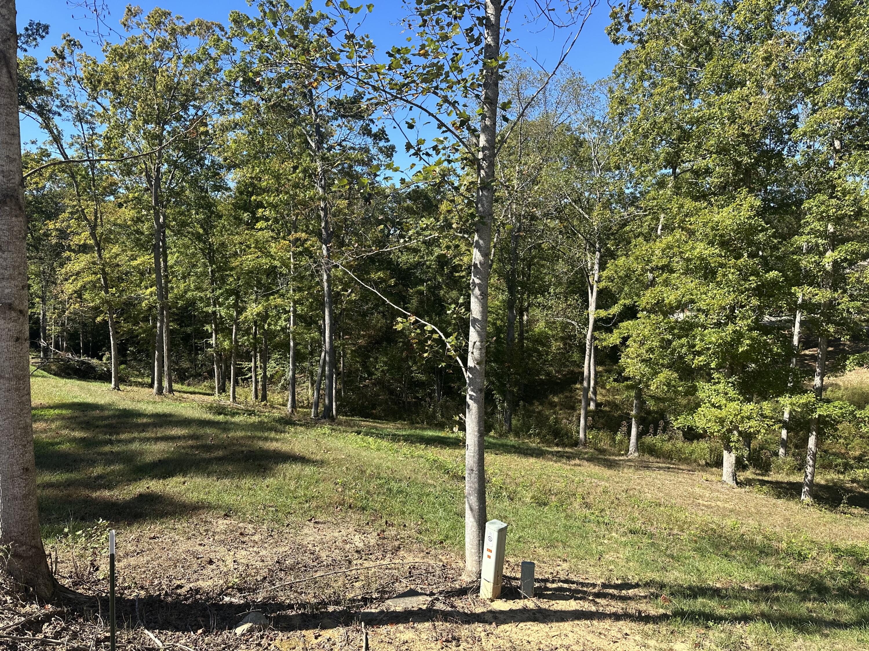 24 Cliff Line Drive Property Photo 11