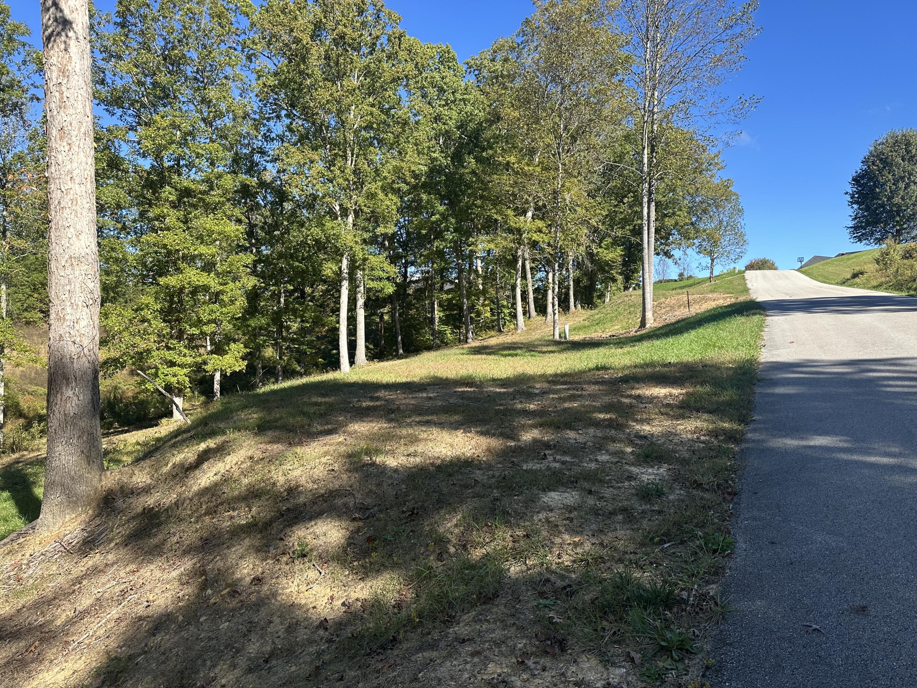 24 Cliff Line Drive Property Photo 12