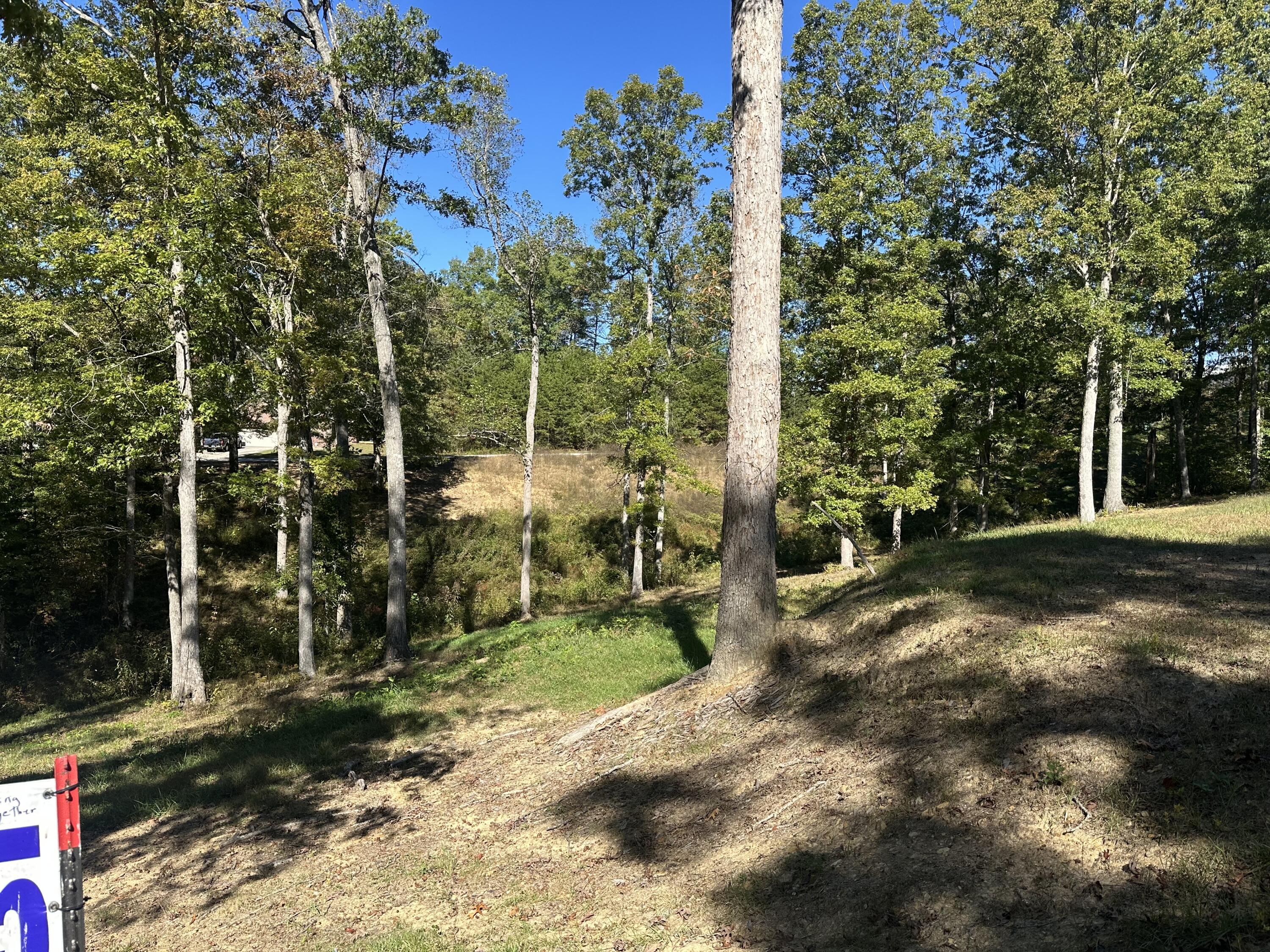 24 Cliff Line Drive Property Photo 13