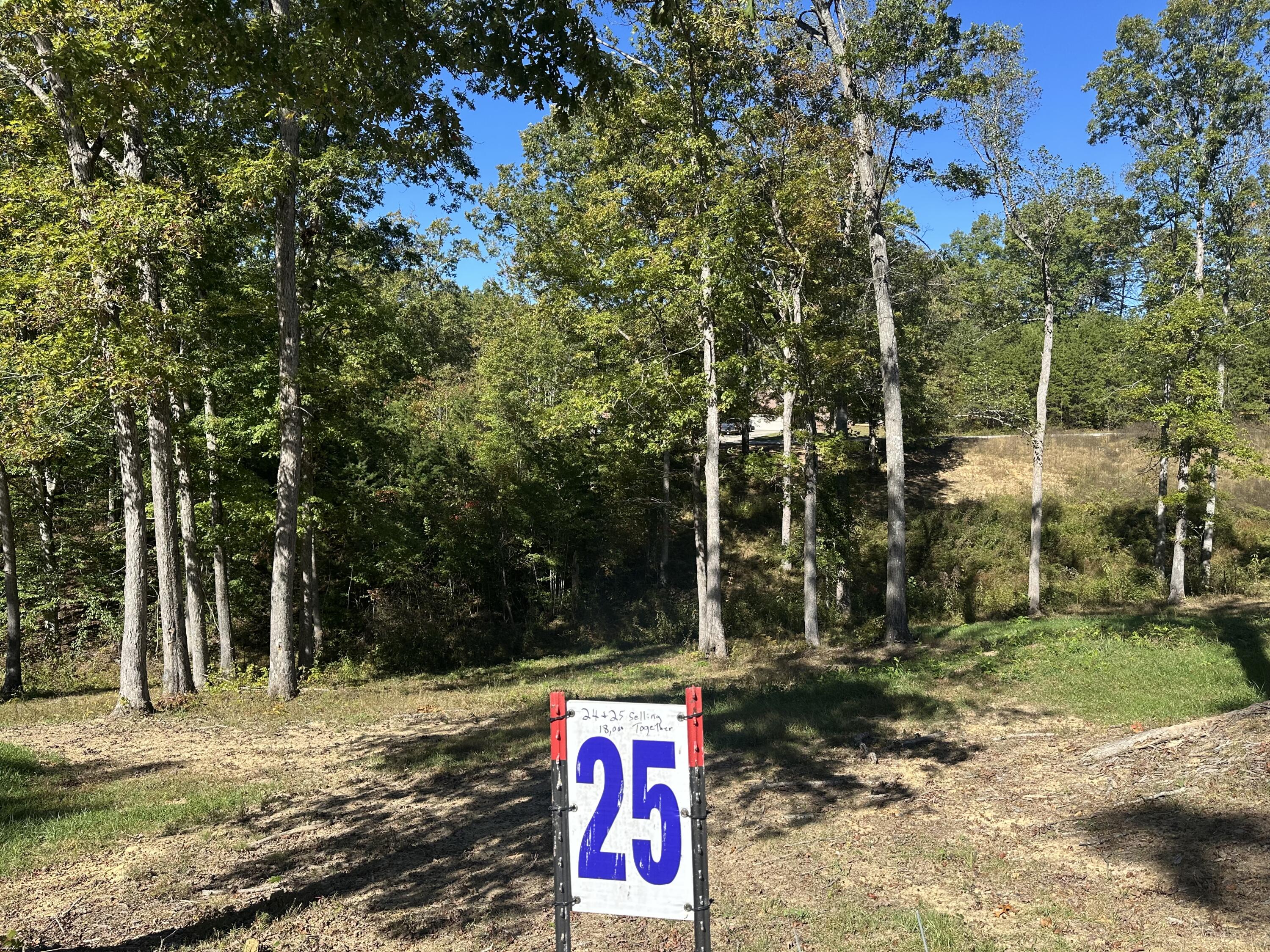 24 Cliff Line Drive Property Photo 14
