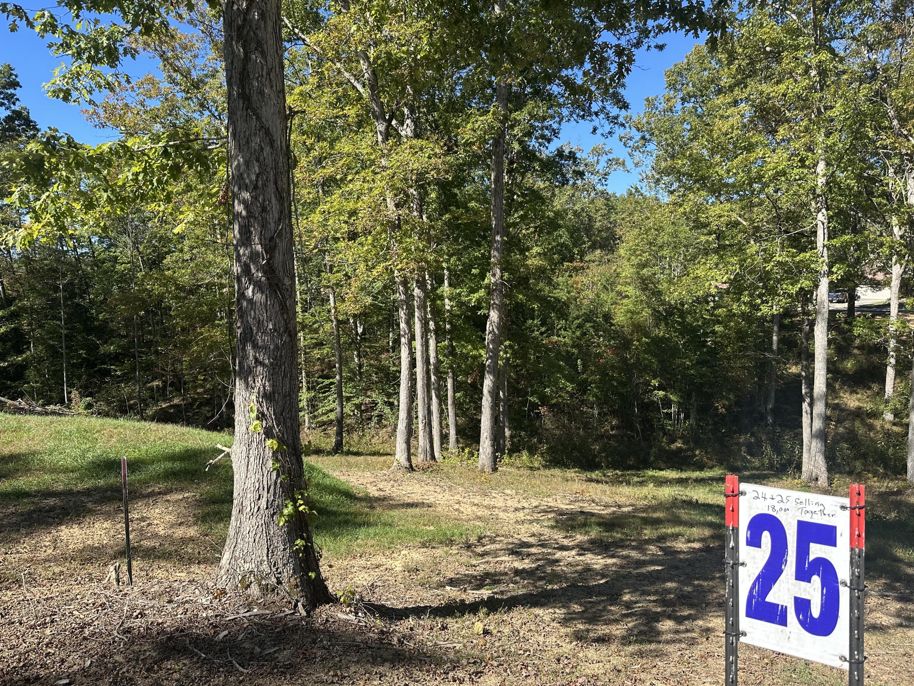 24 Cliff Line Drive Property Photo 18