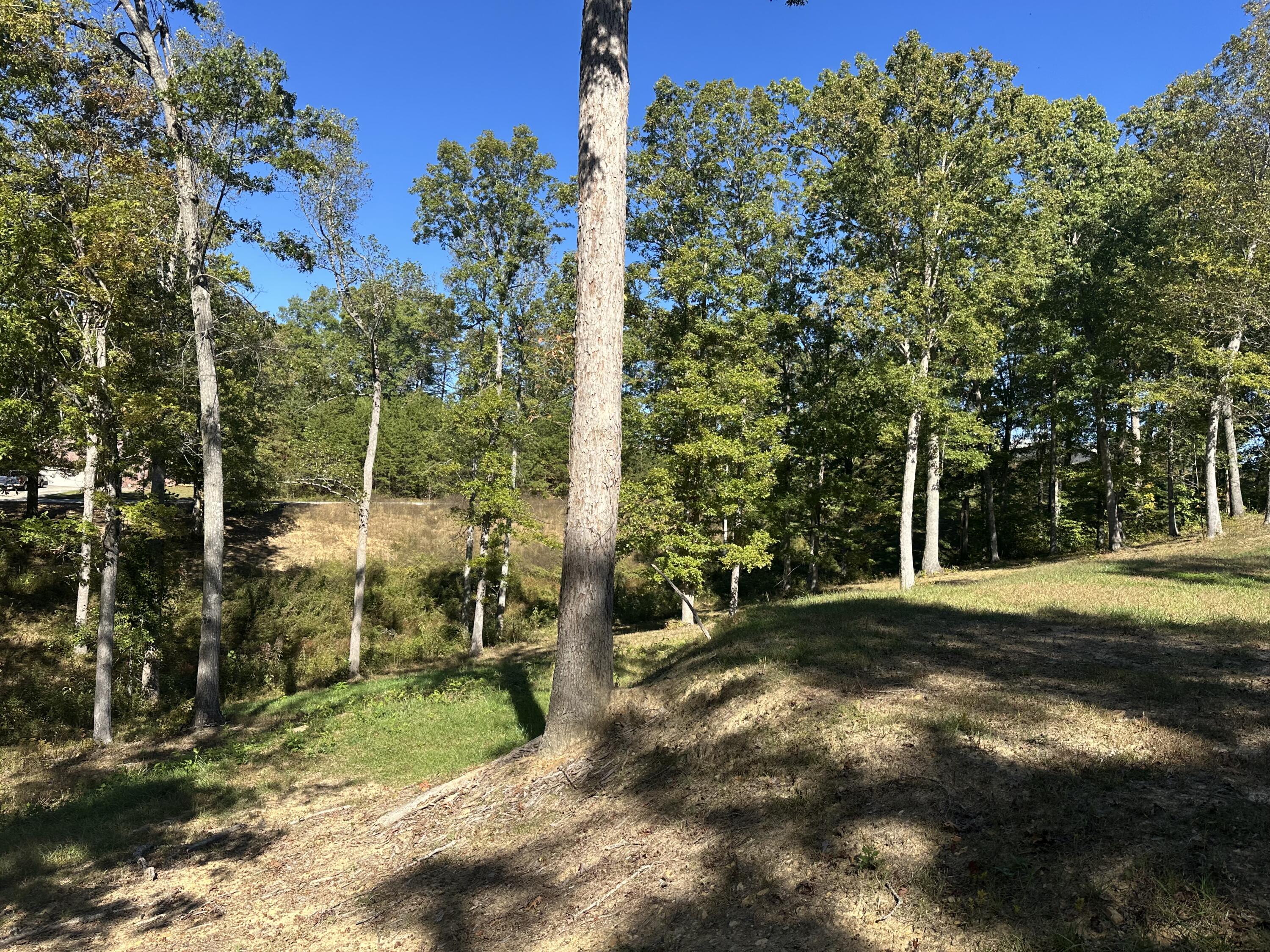 24 Cliff Line Drive Property Photo 19
