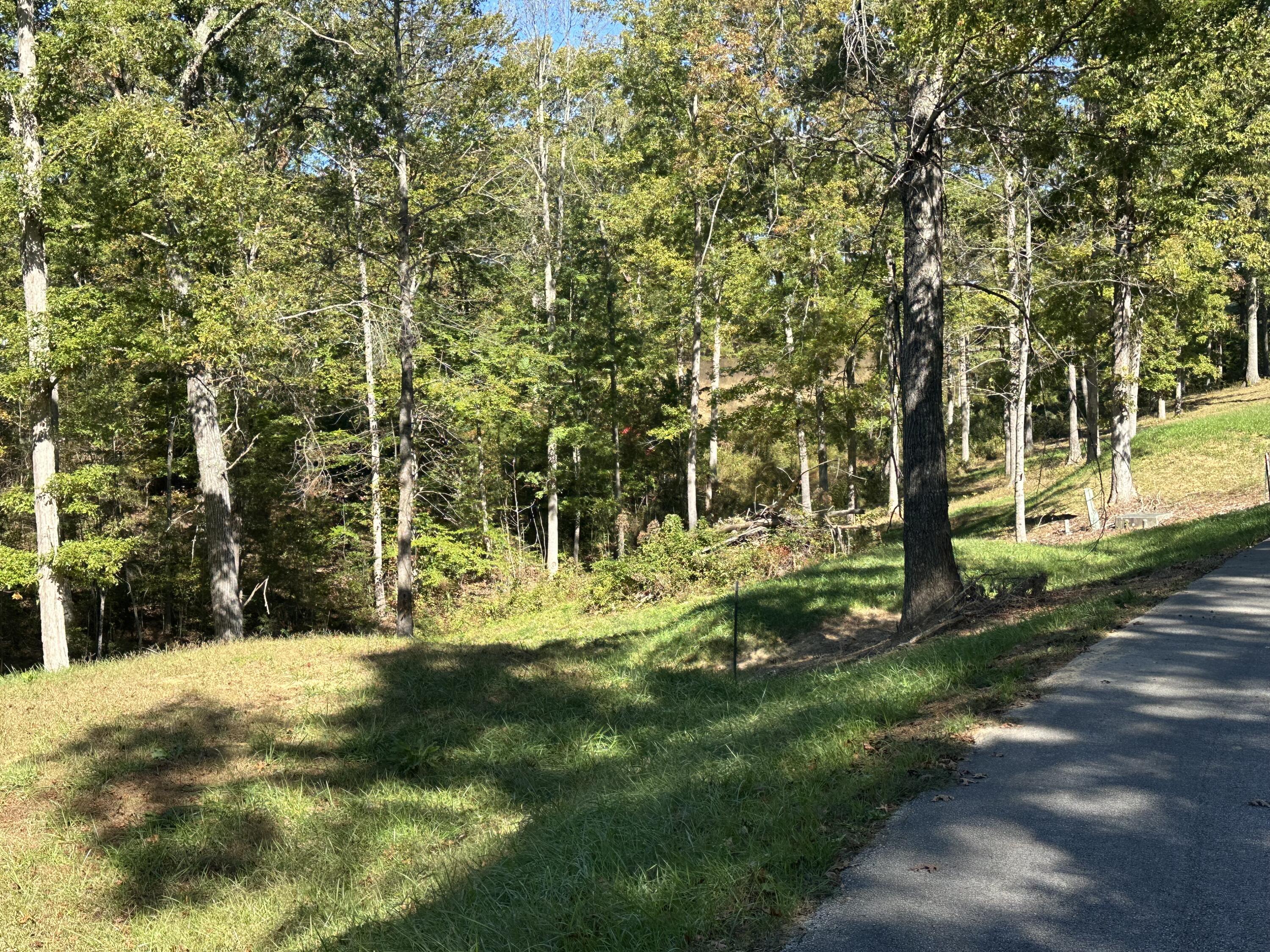 26 Cliffs Line Drive Property Photo 4