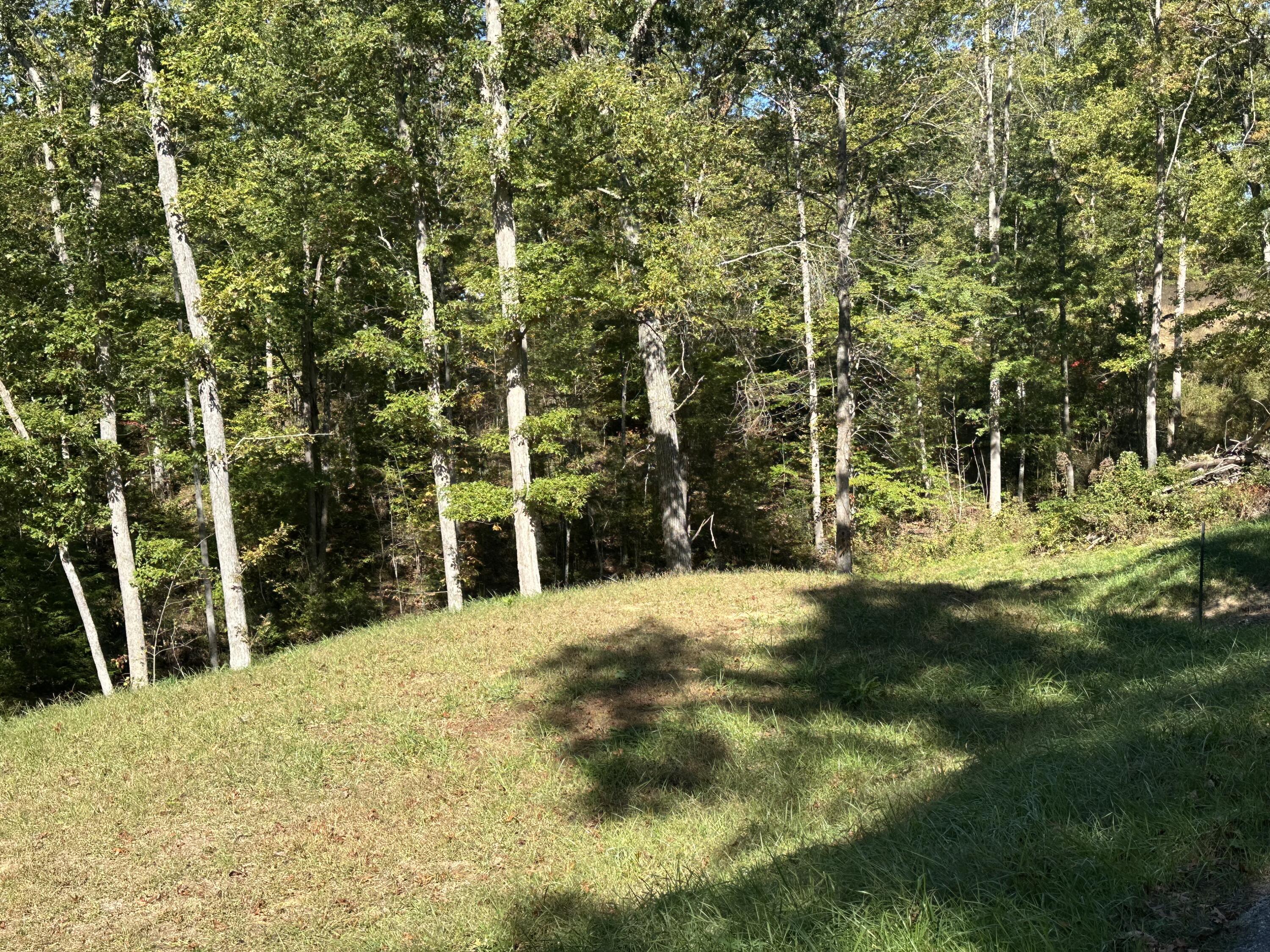 26 Cliffs Line Drive Property Photo 5