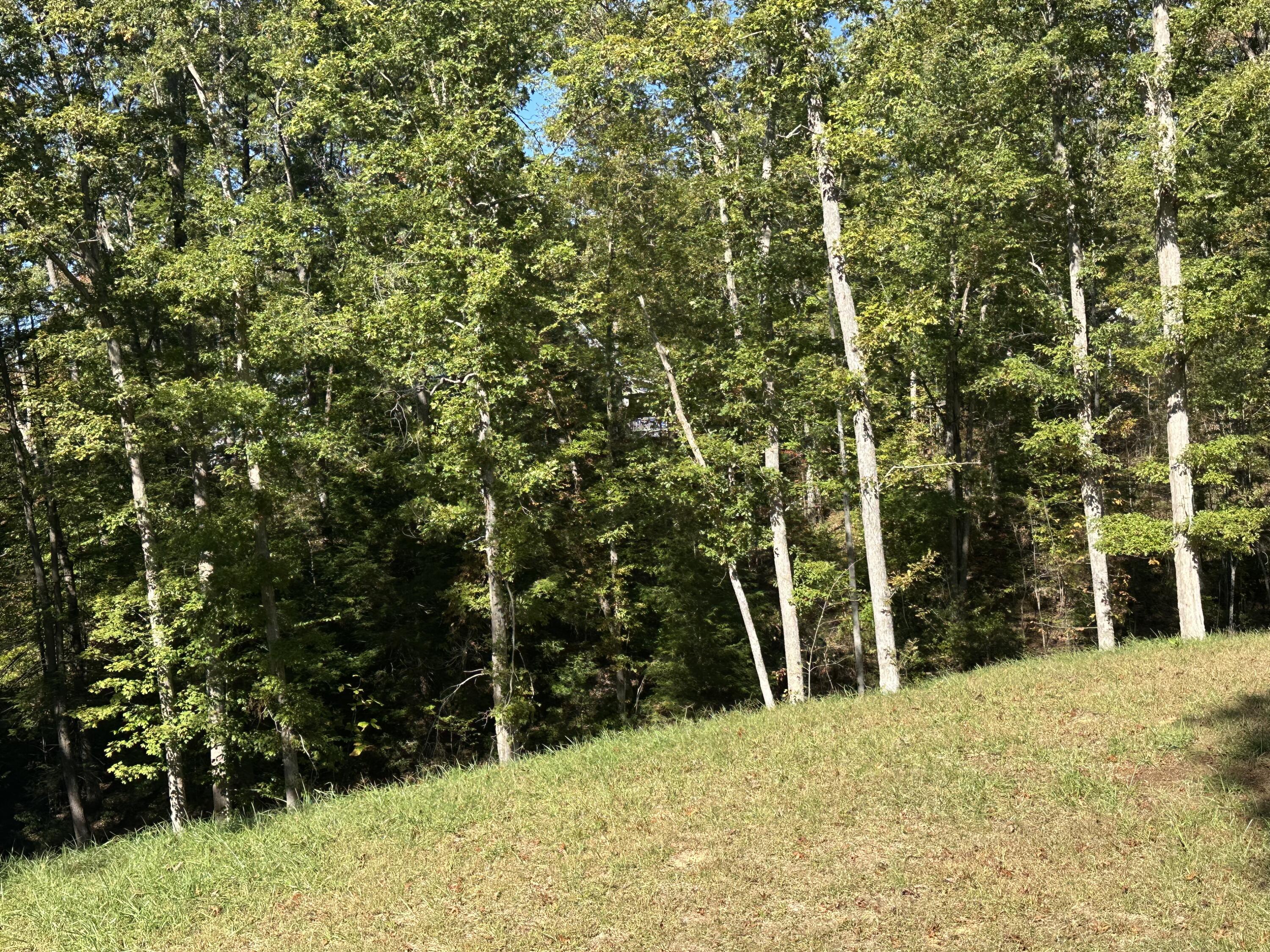 26 Cliffs Line Drive Property Photo 6