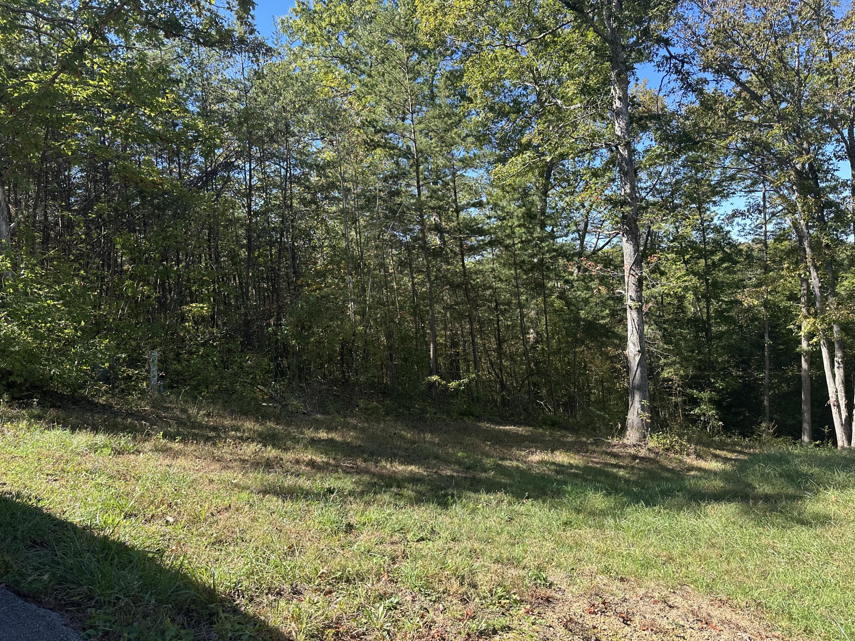 26 Cliffs Line Drive Property Photo 8