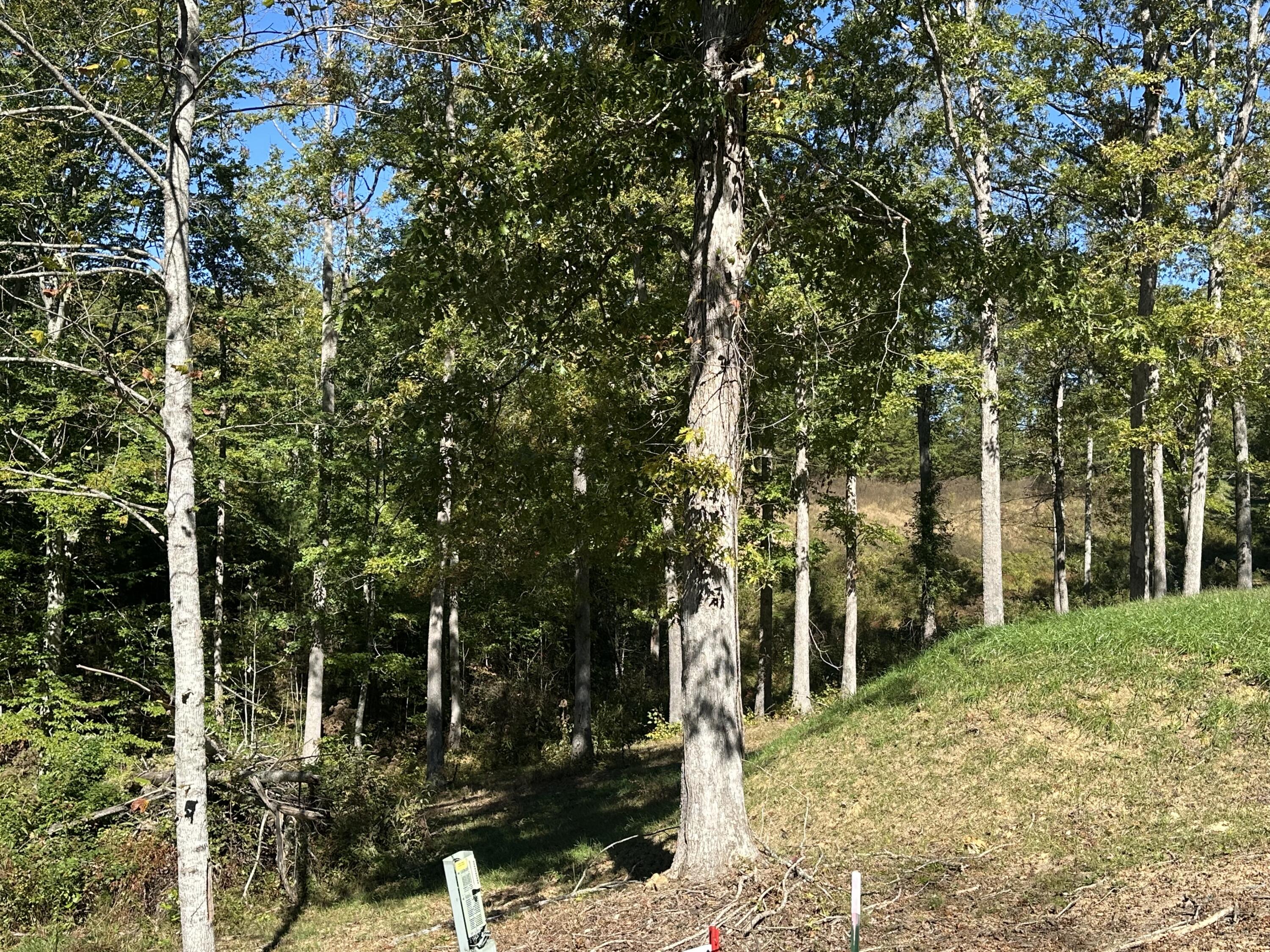 26 Cliffs Line Drive Property Photo 11