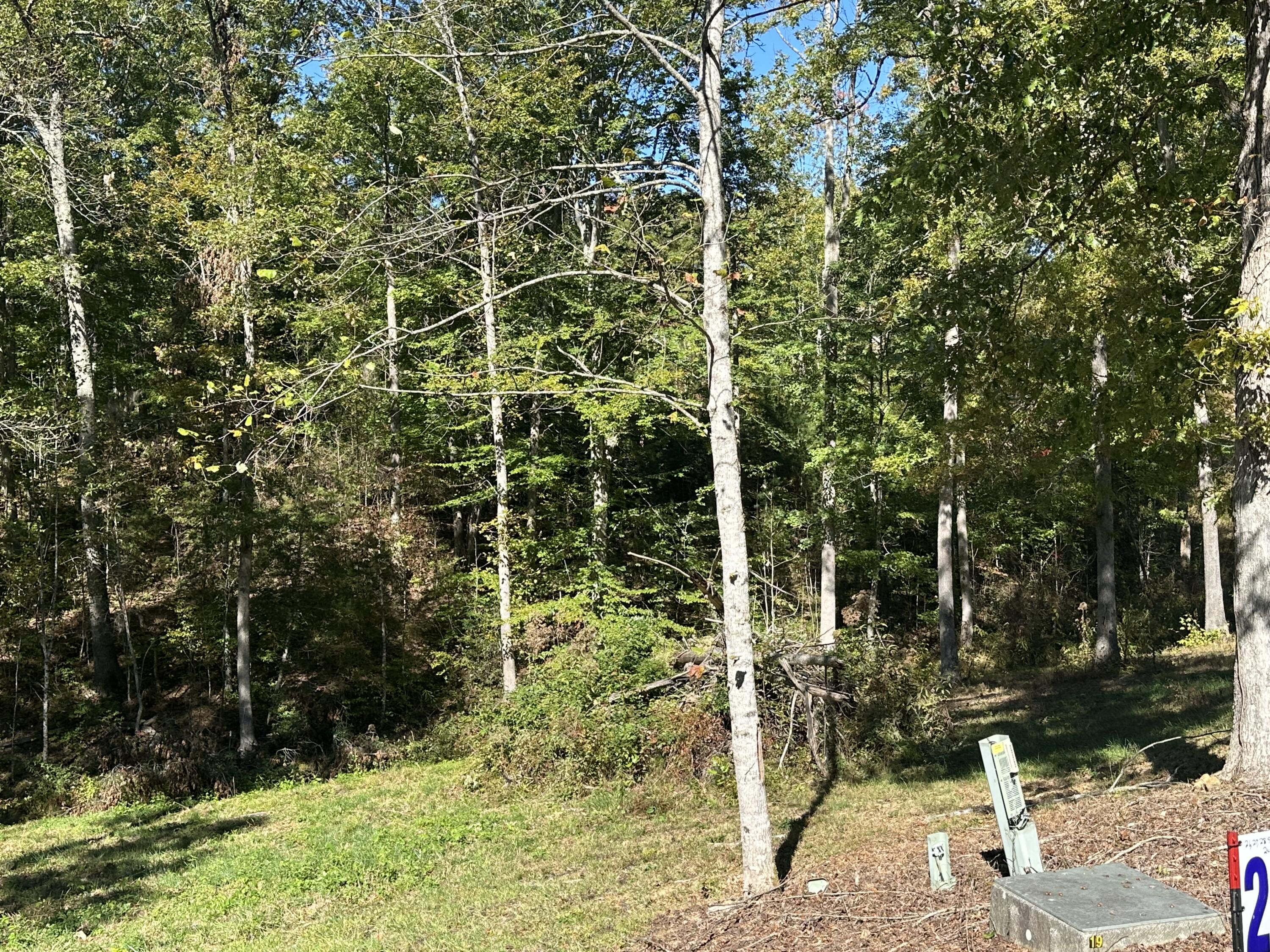 26 Cliffs Line Drive Property Photo 12