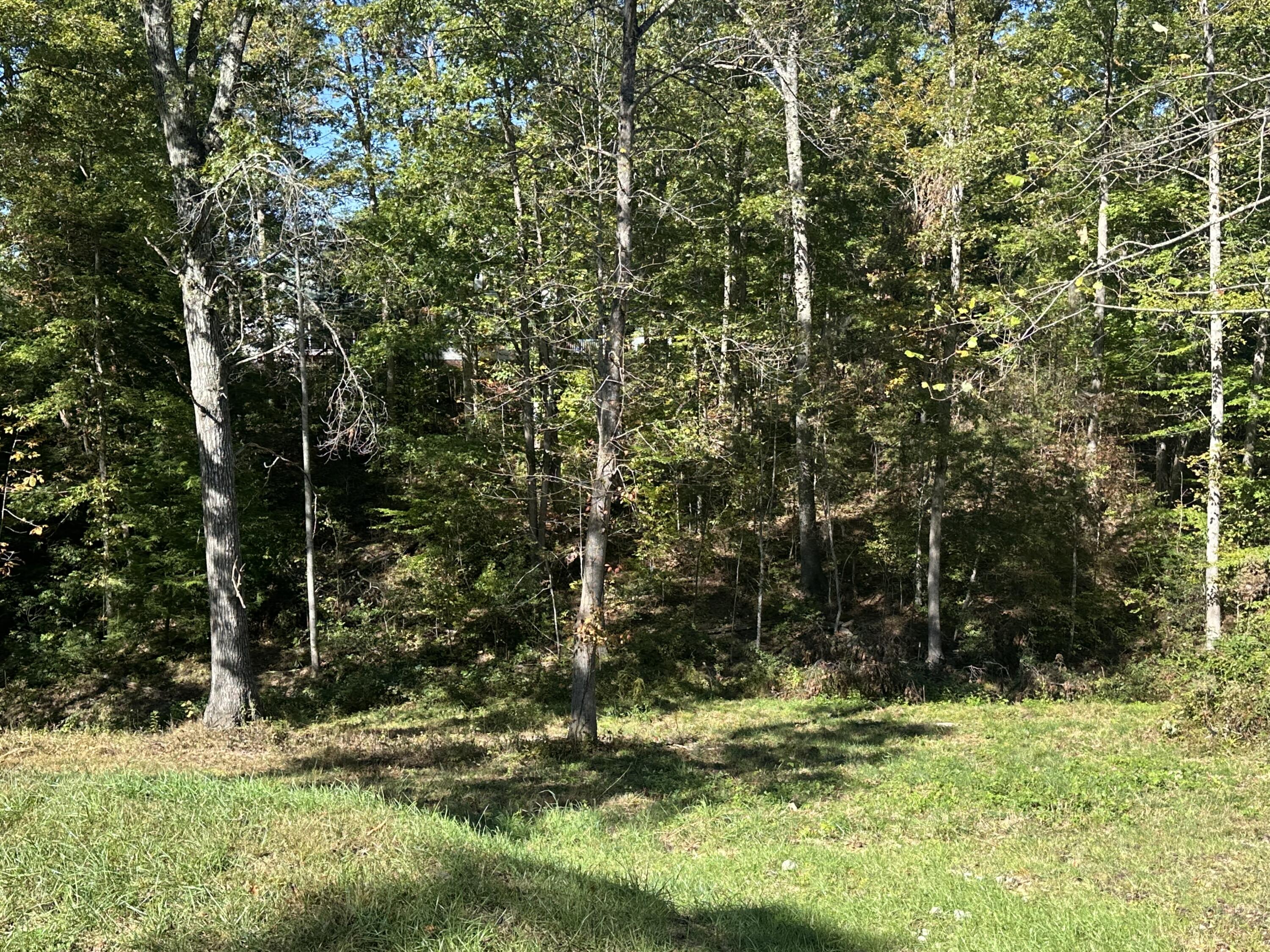 26 Cliffs Line Drive Property Photo 13