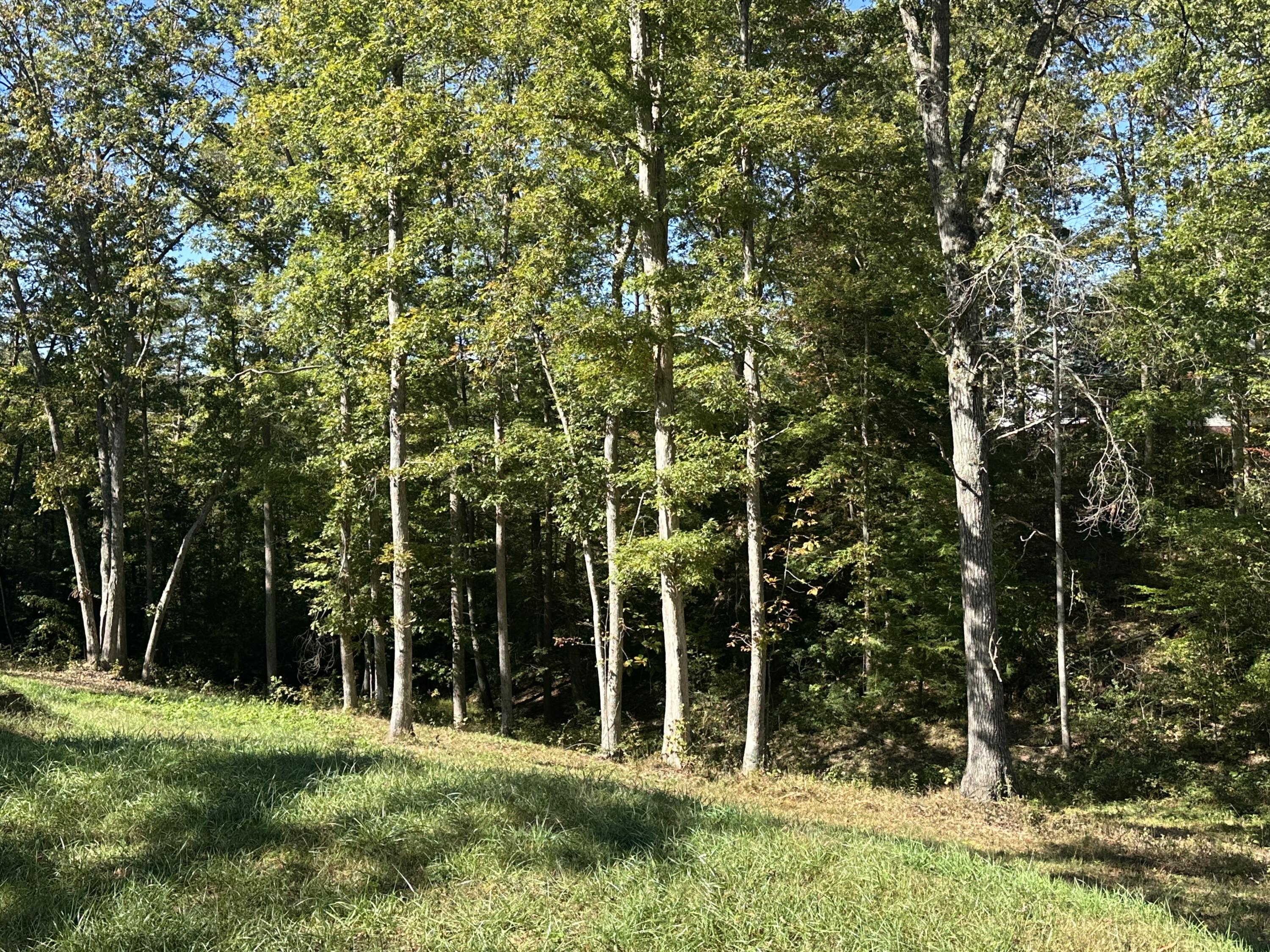 26 Cliffs Line Drive Property Photo 14