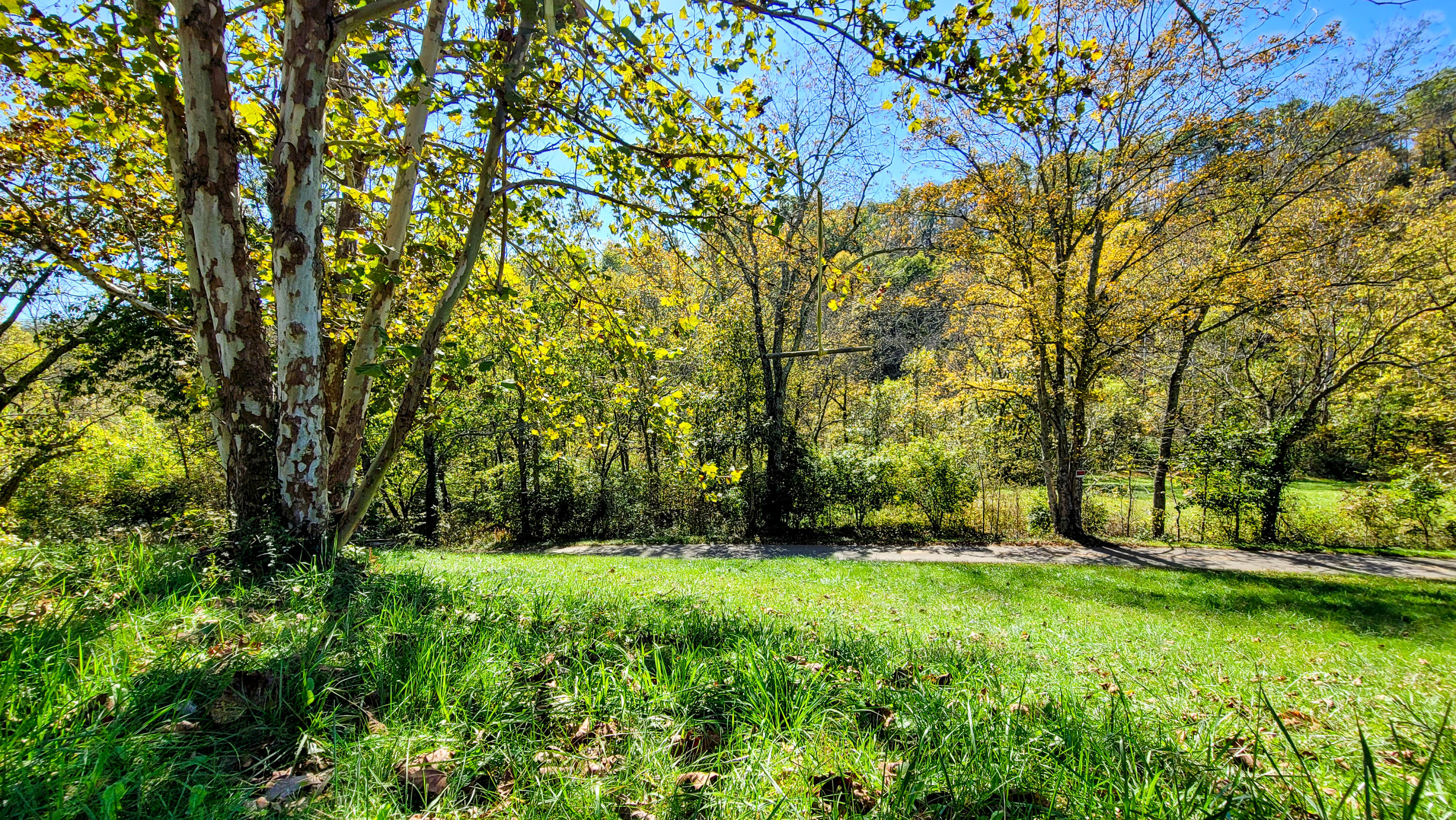 7950 Four Mile Road Property Photo 6
