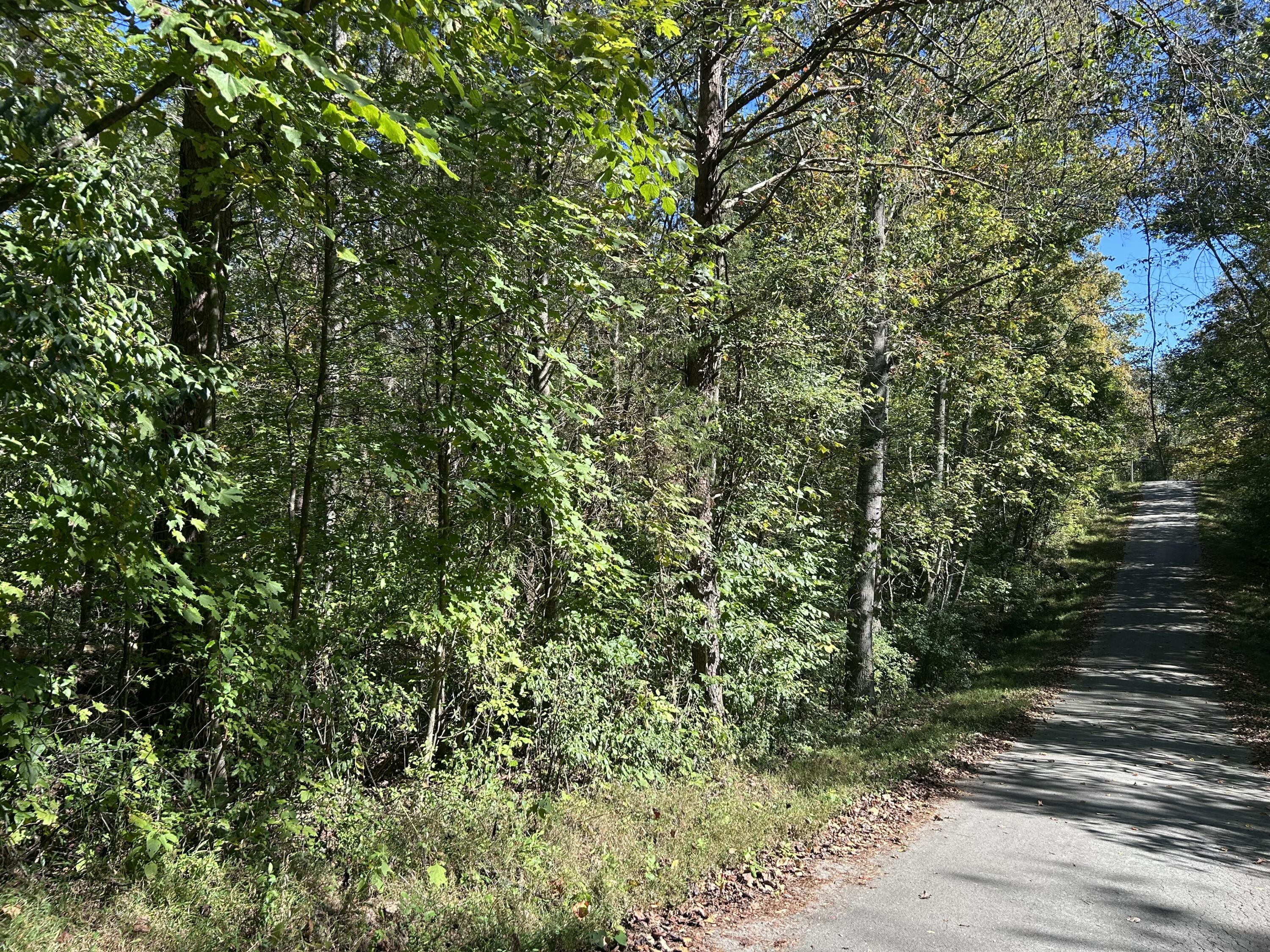 120 Saxony Court Property Photo 2