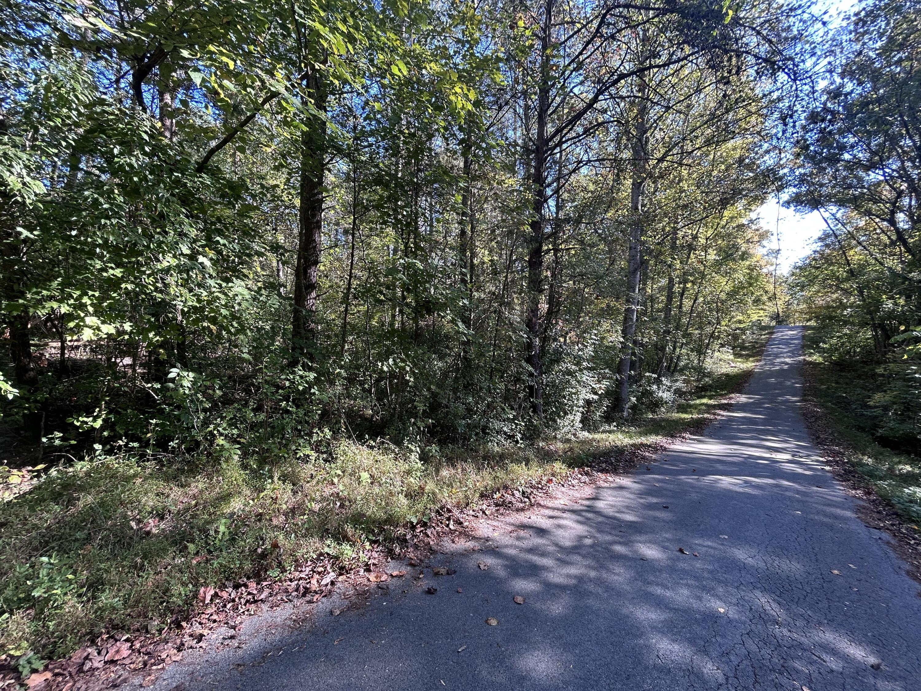 120 Saxony Court Property Photo 3