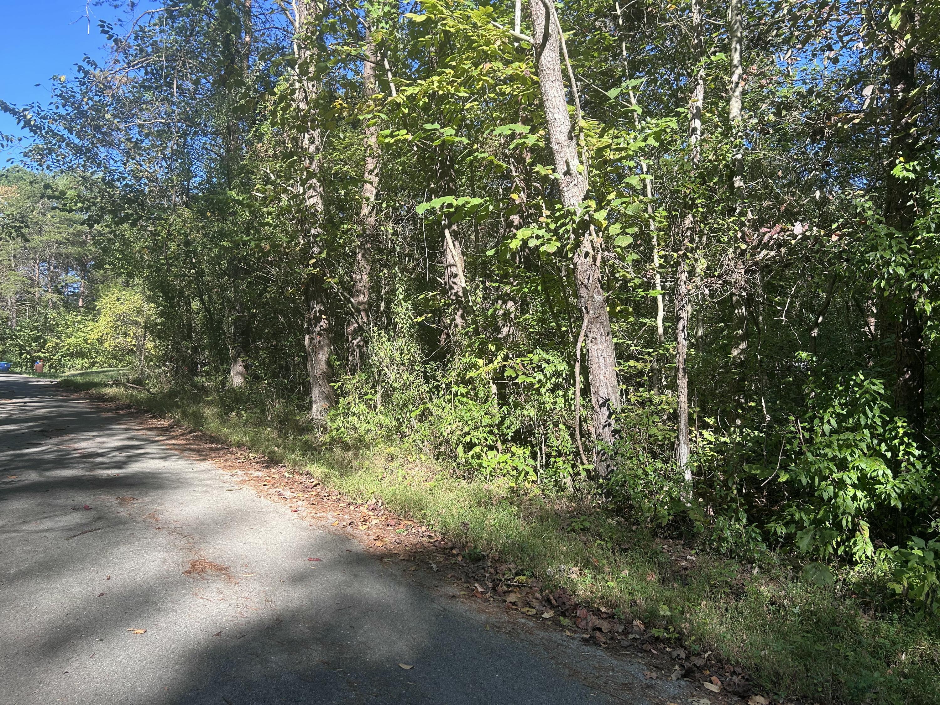 120 Saxony Court Property Photo 4