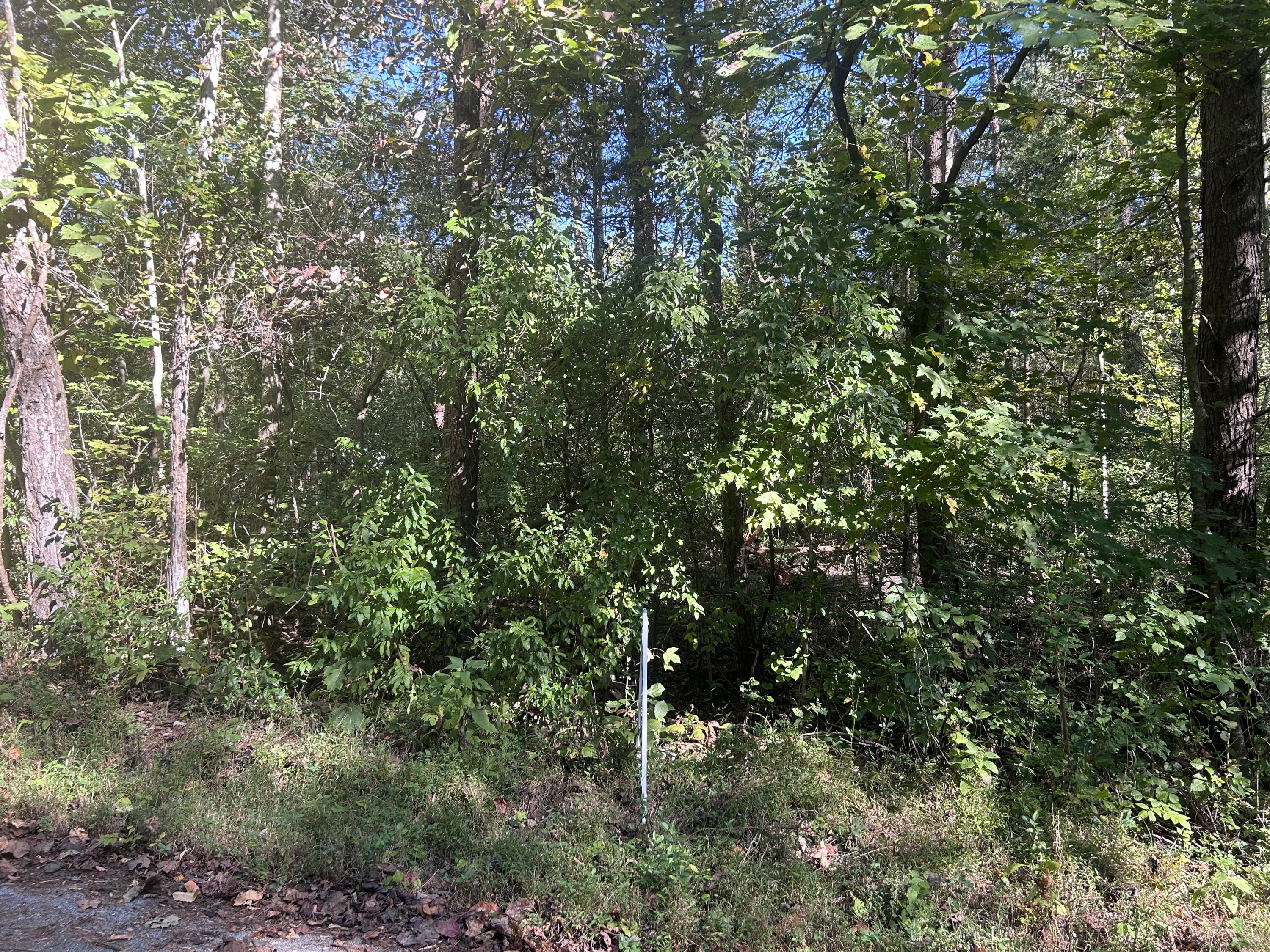 120 Saxony Court Property Photo 5